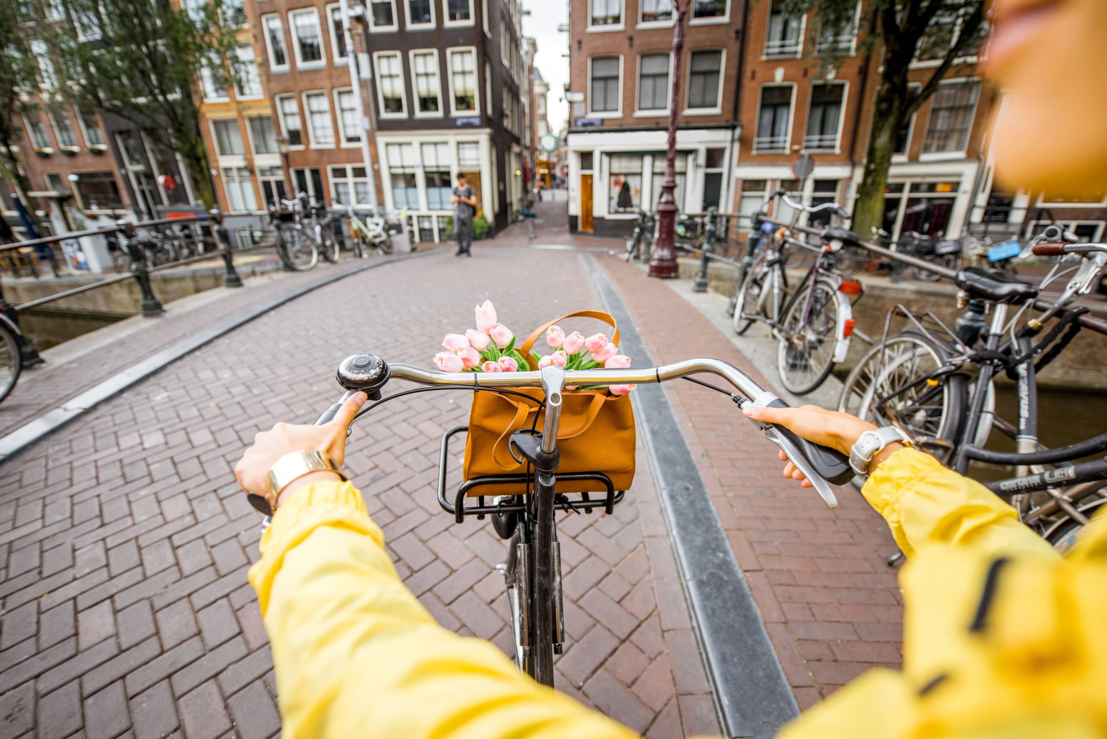 tour in bicicletta fra i canali di amsterdam