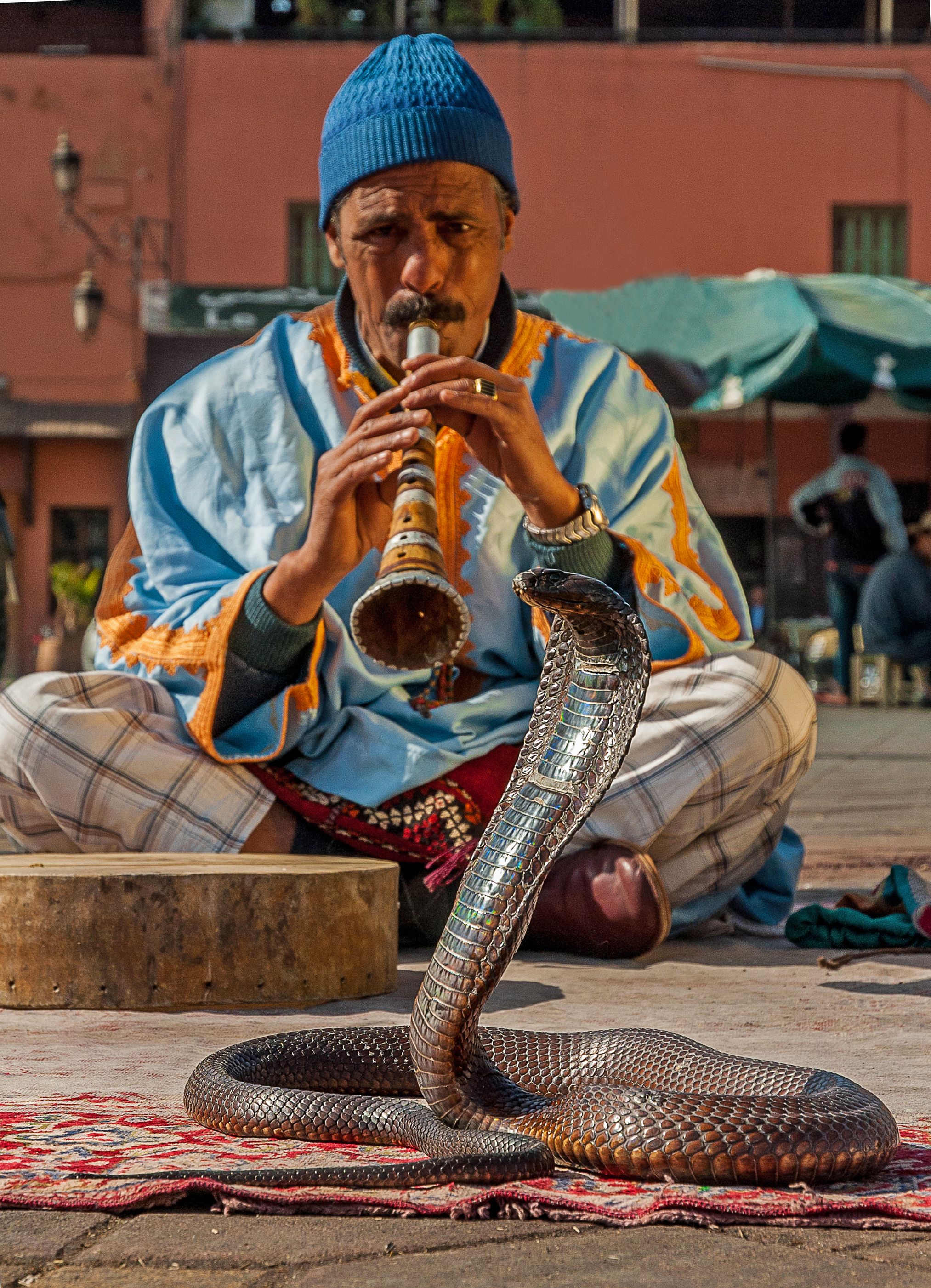 marrakech
