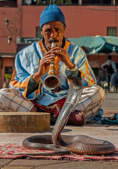 marrakech