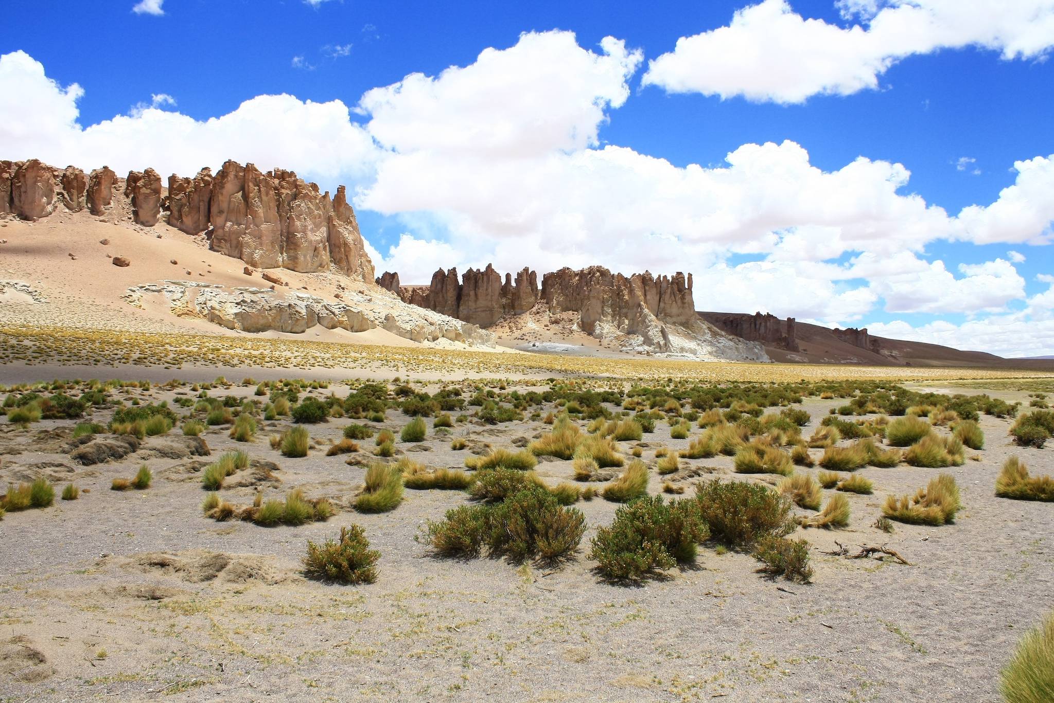 deserto di atacama