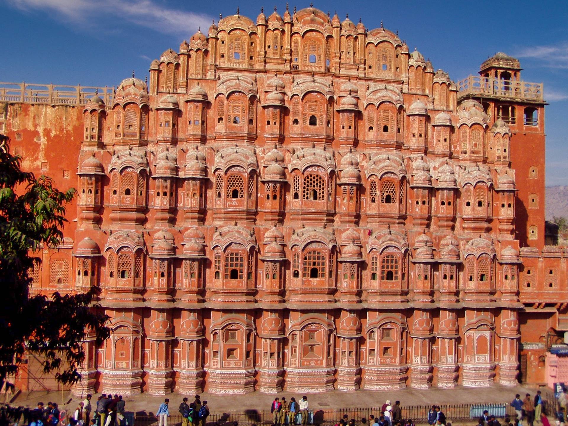 citta rosa jaipur