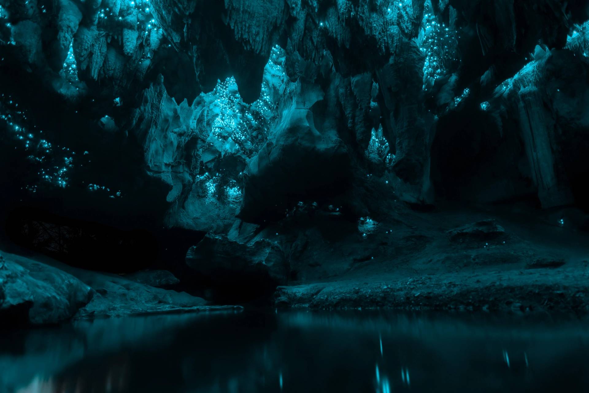 waitomo caves