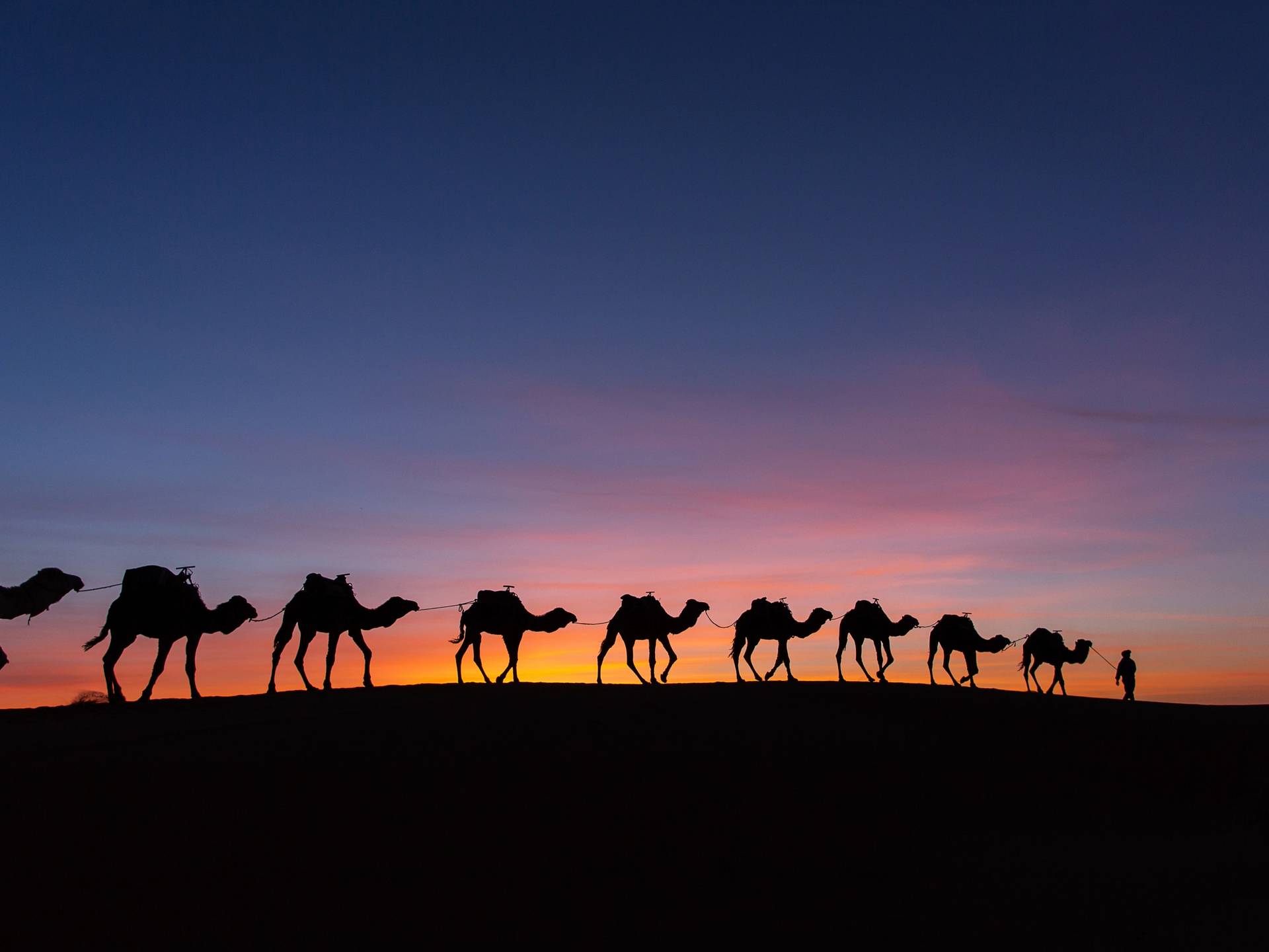 Travel to Morocco cover