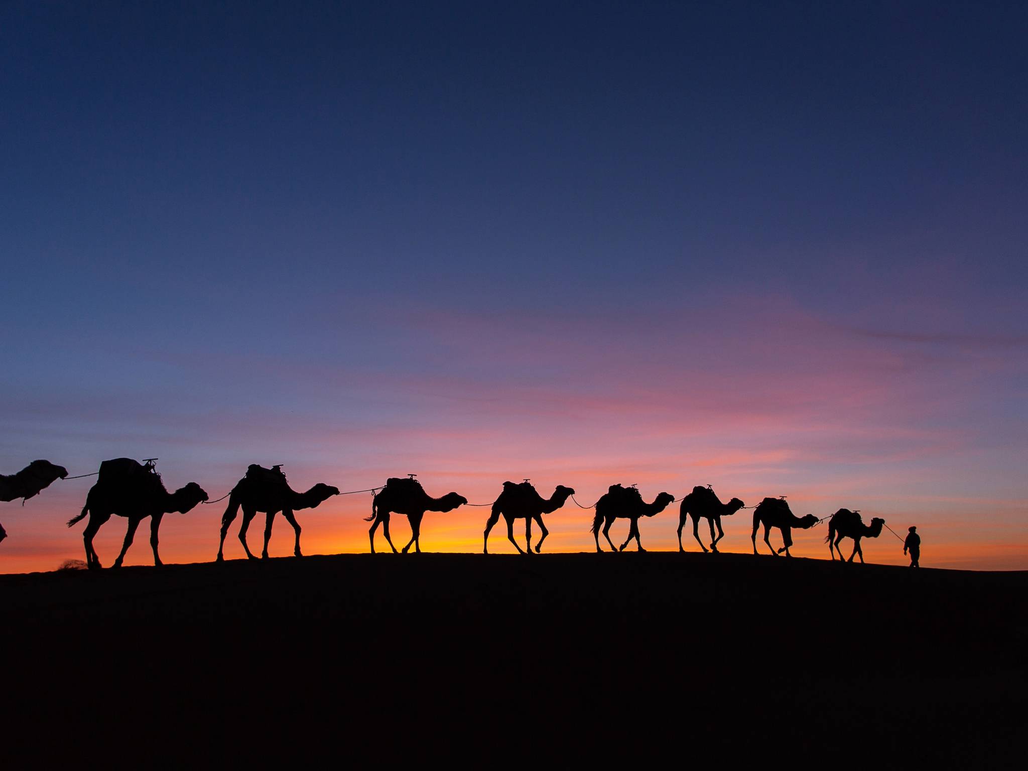 Dal souk al deserto: Marocco in 8 giorni cover