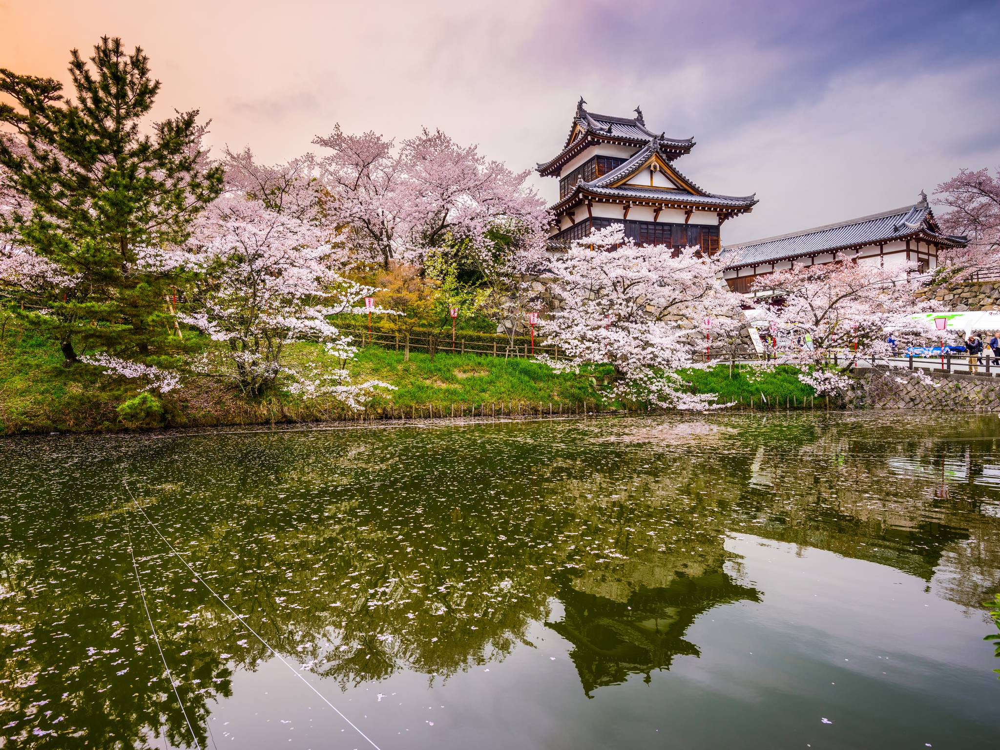Tour icone del Giappone: da Tokyo a Kyoto cover