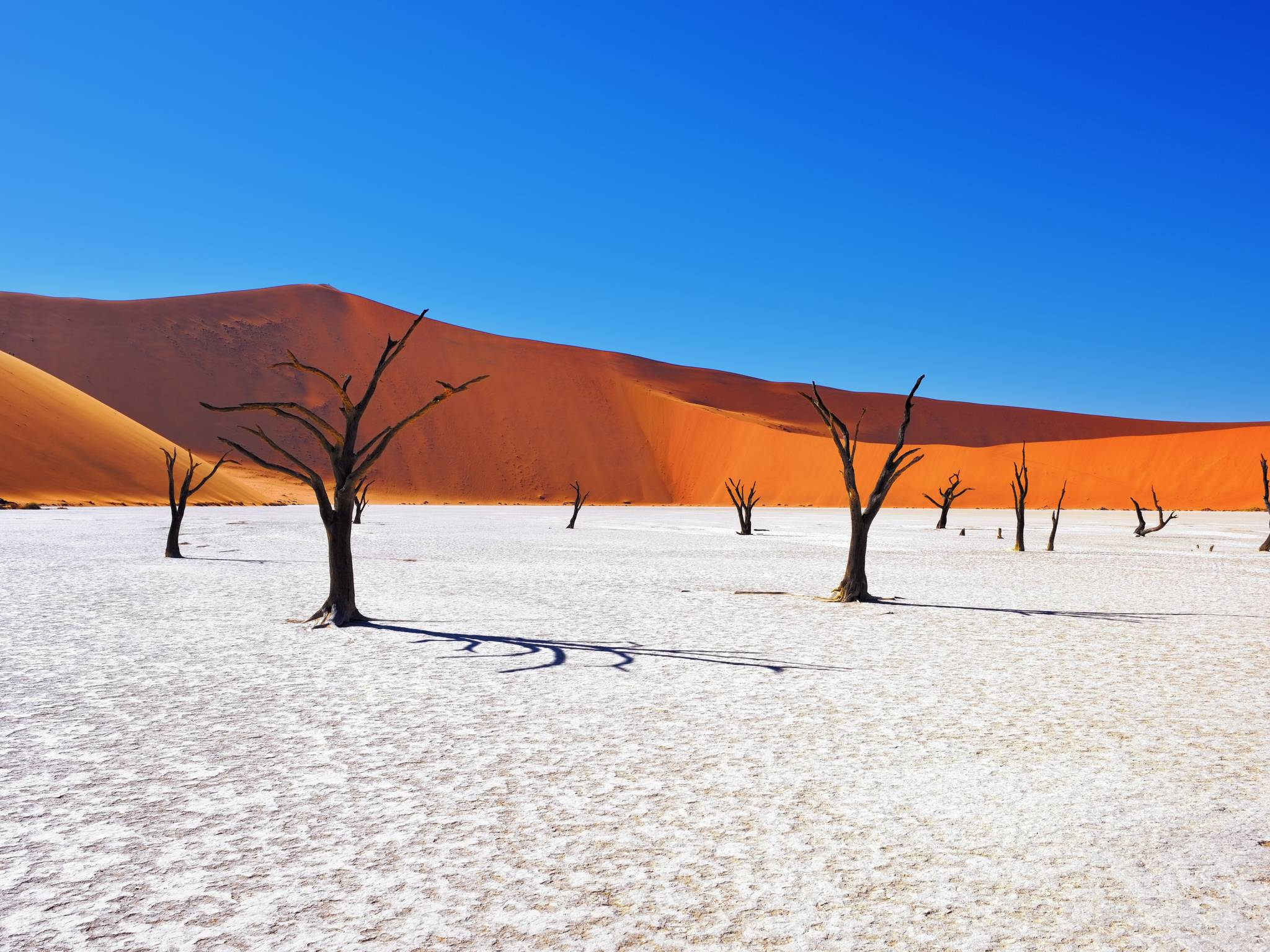 Tour della Namibia cover