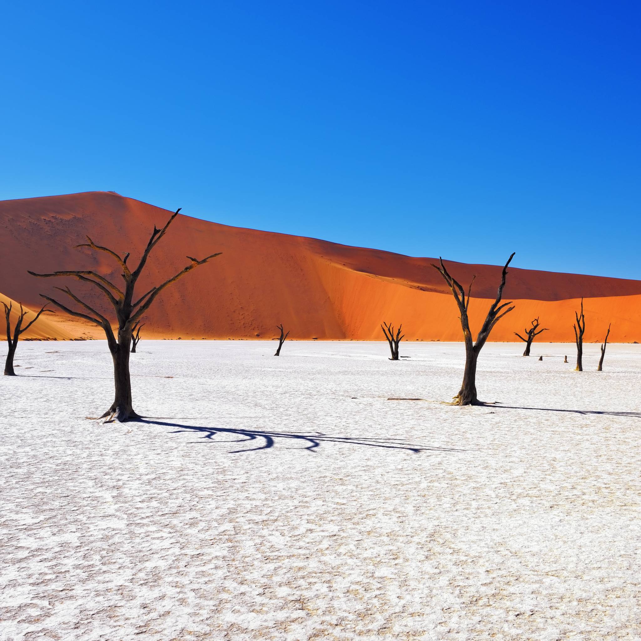 Tour della Namibia