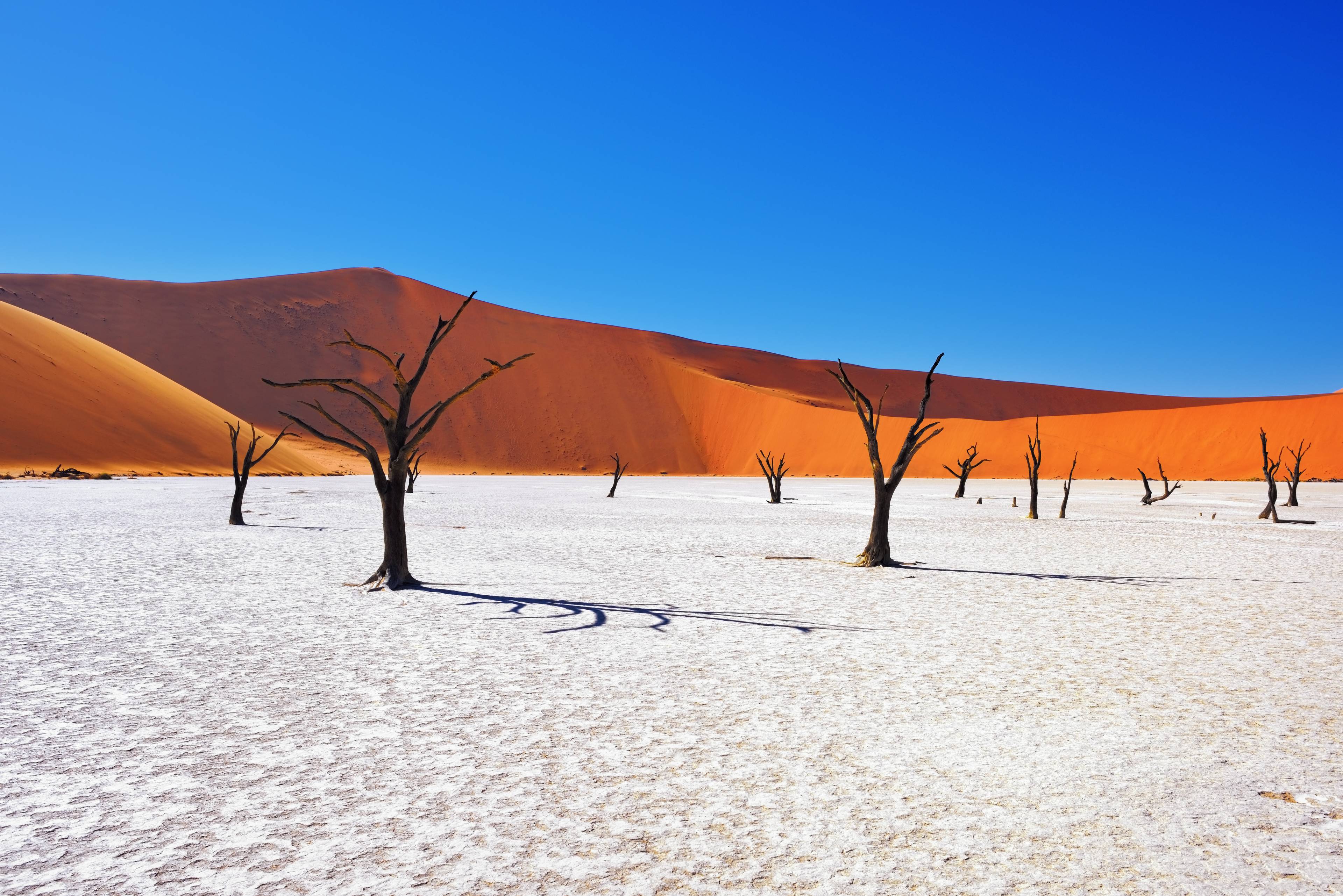 Tour della Namibia