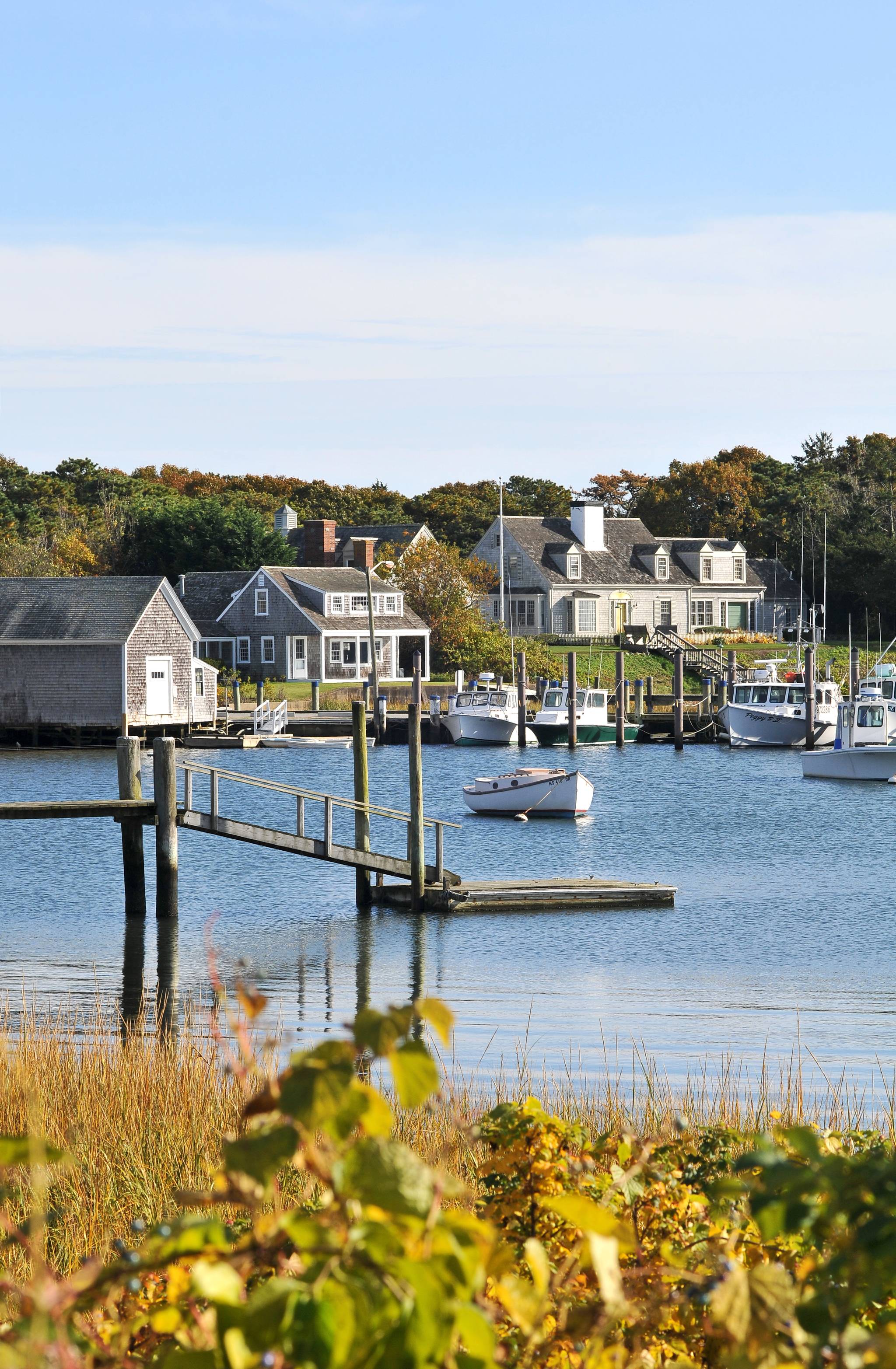 cape cod