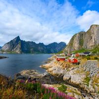 case rosse reine isole lofoten norvegia in estate
