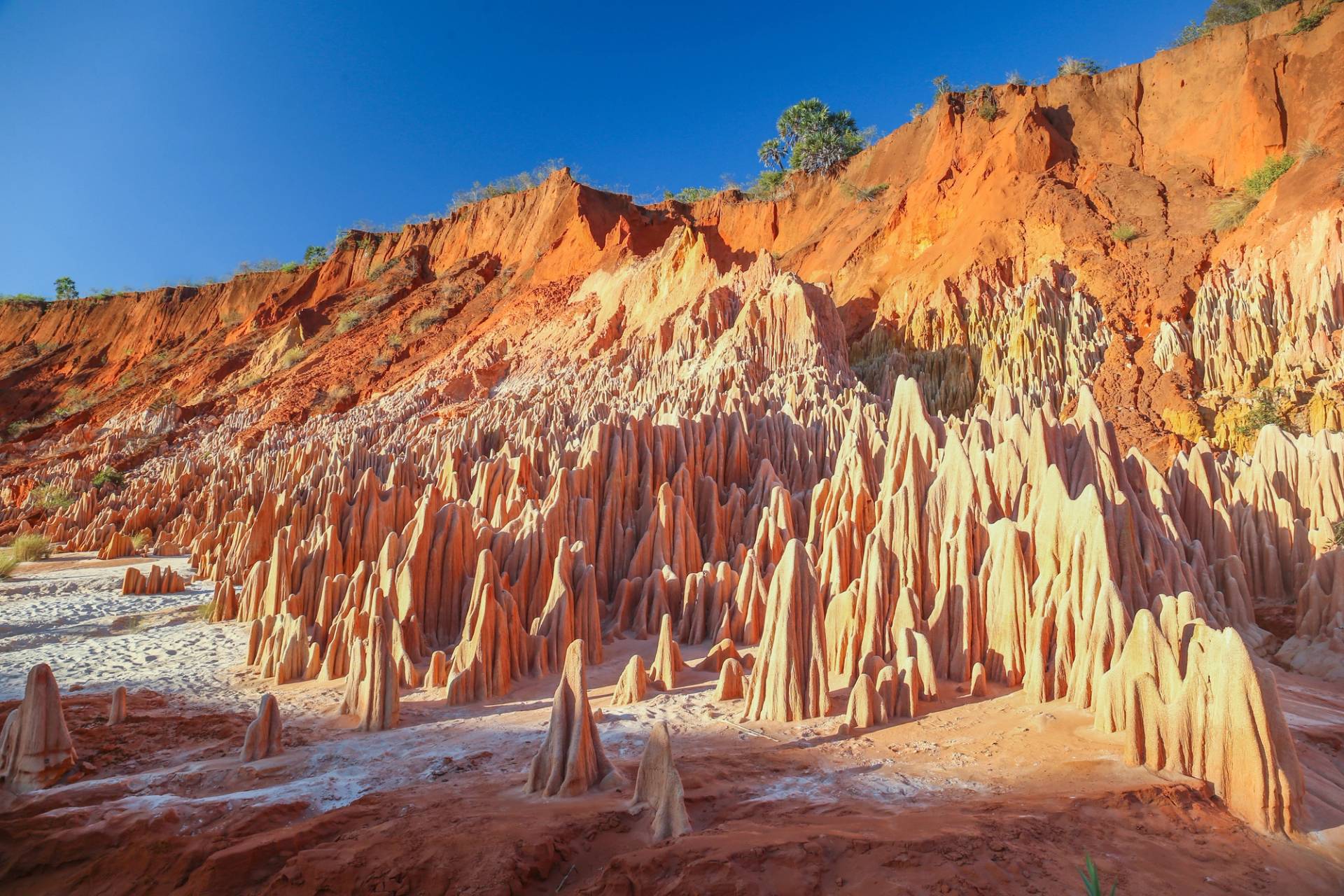 joffre ville
