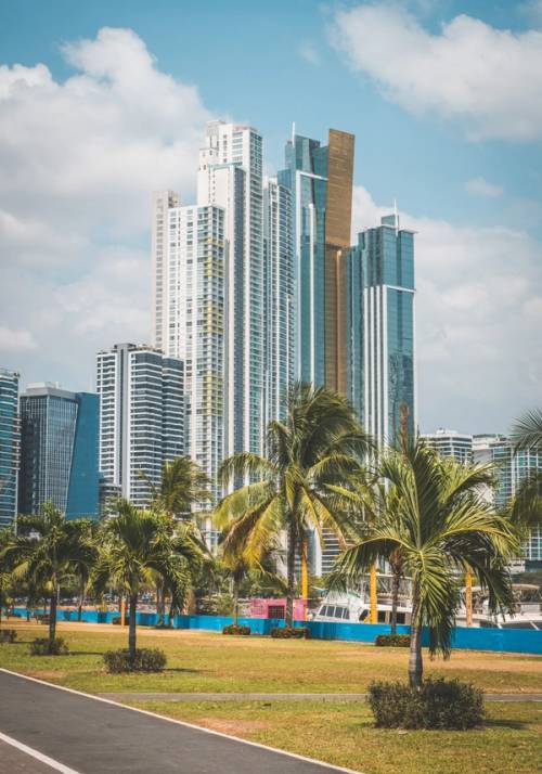 grattacieli panama city con palme