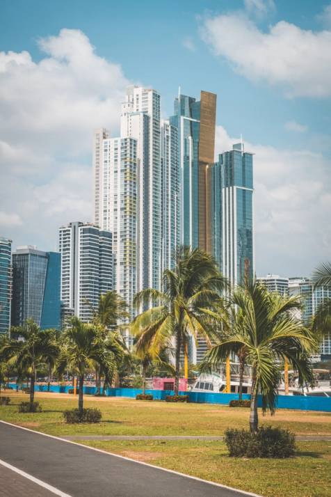 grattacieli panama city con palme