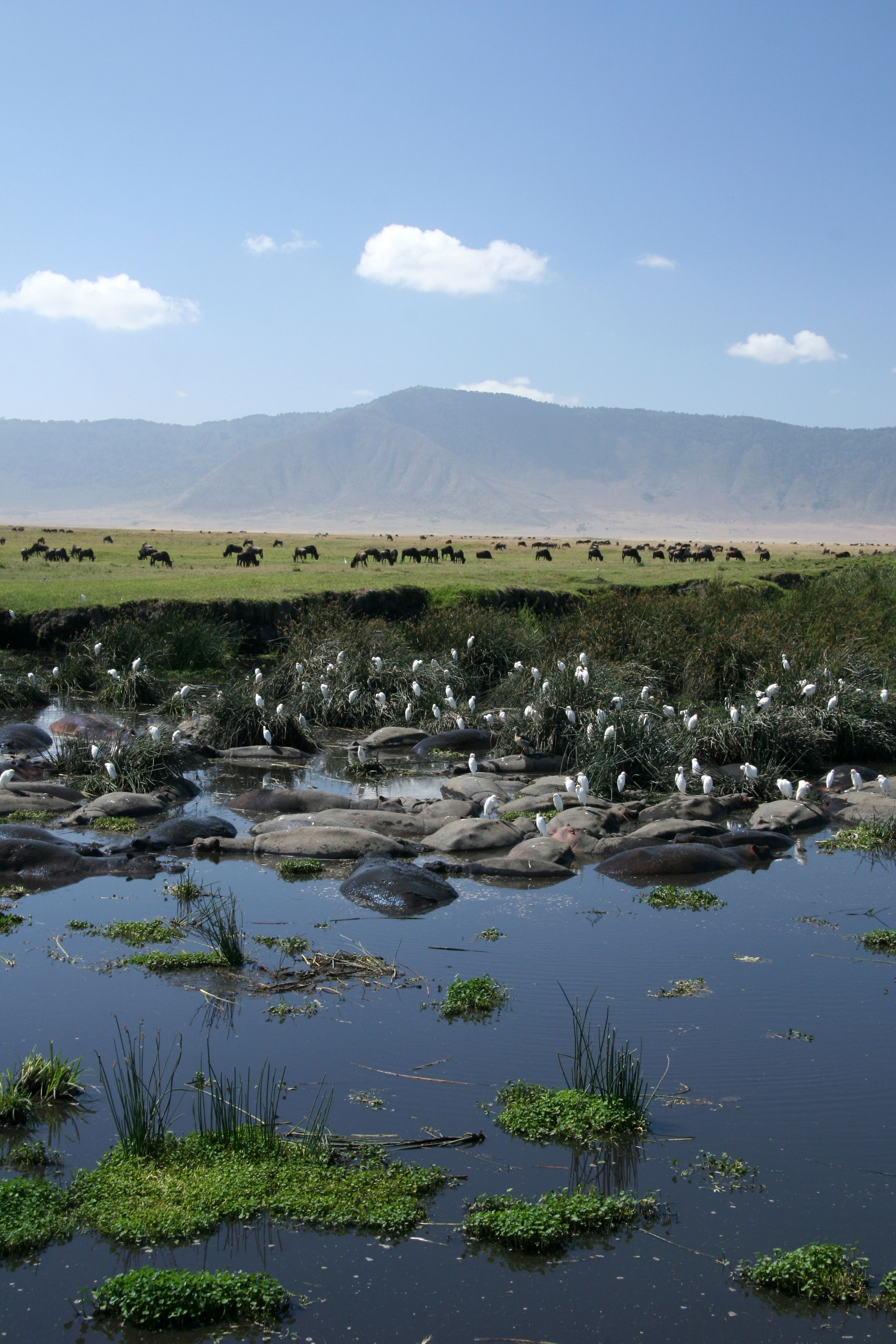 ngorongoro crater
