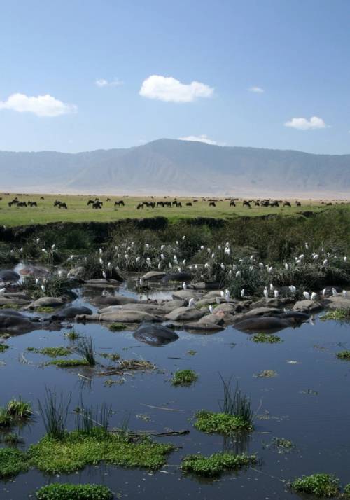 ngorongoro crater
