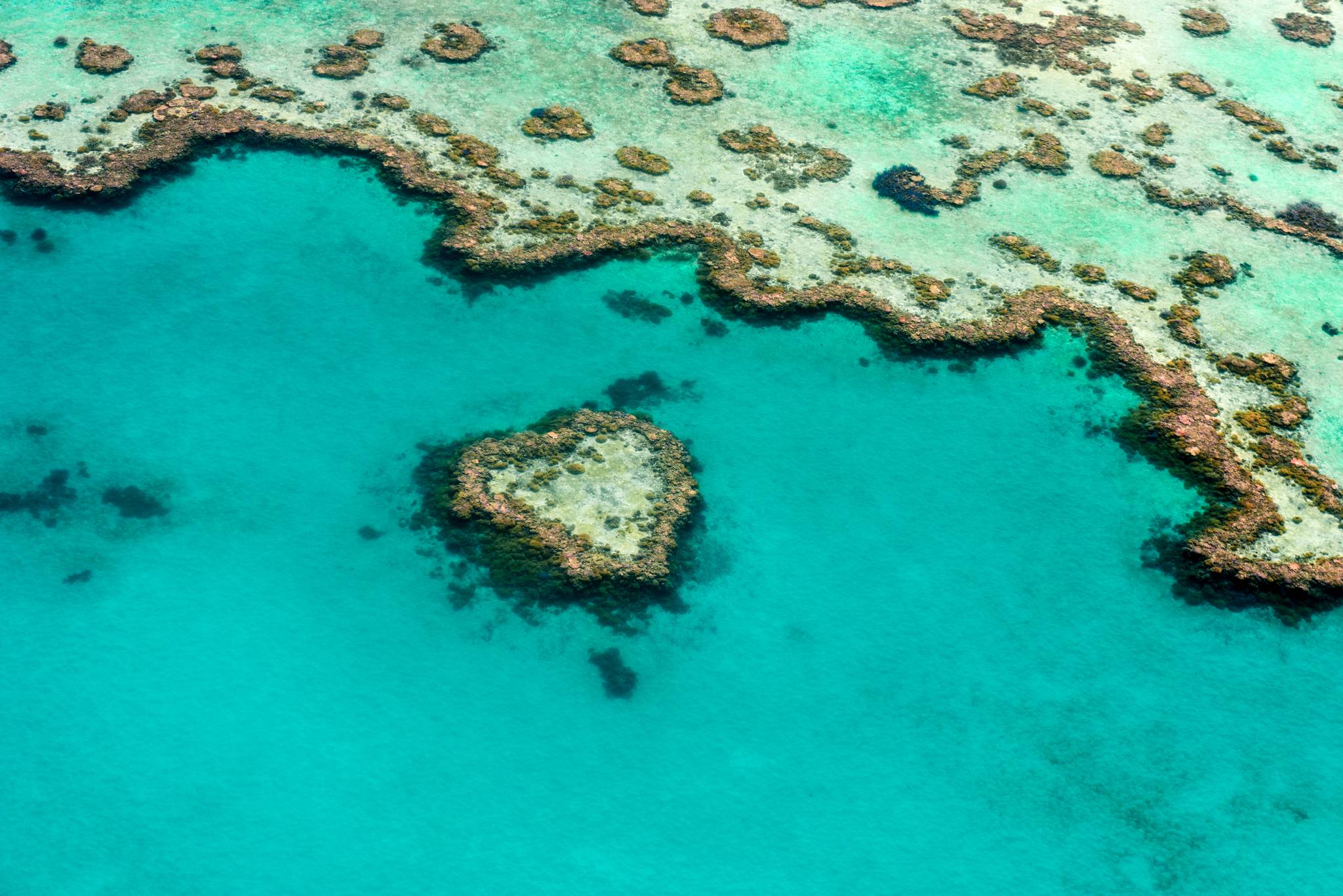 heart reef australia