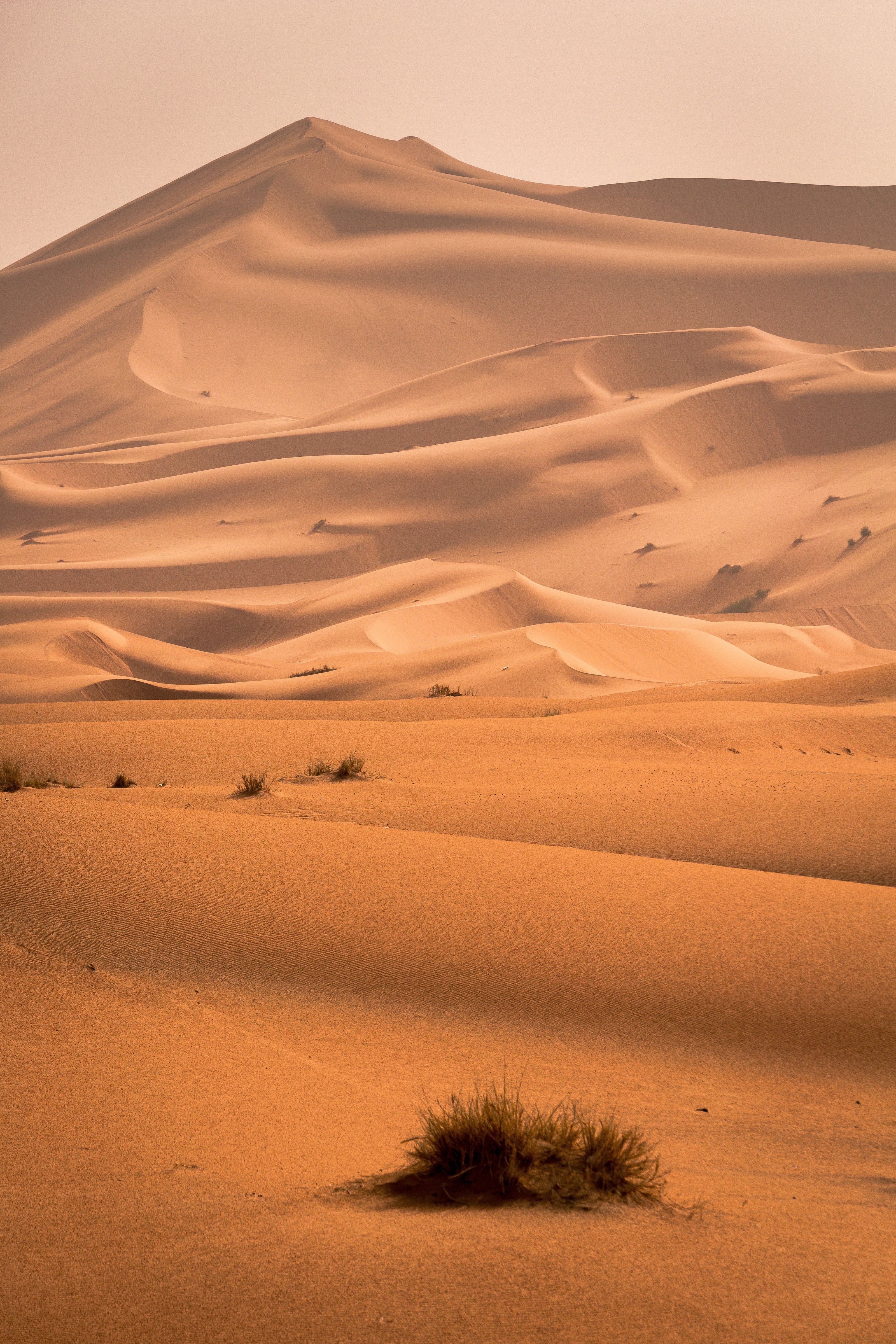 Sahara Desert in Mauritania