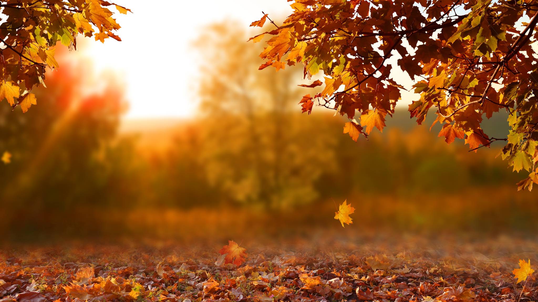 viaggi organizzati a novembre