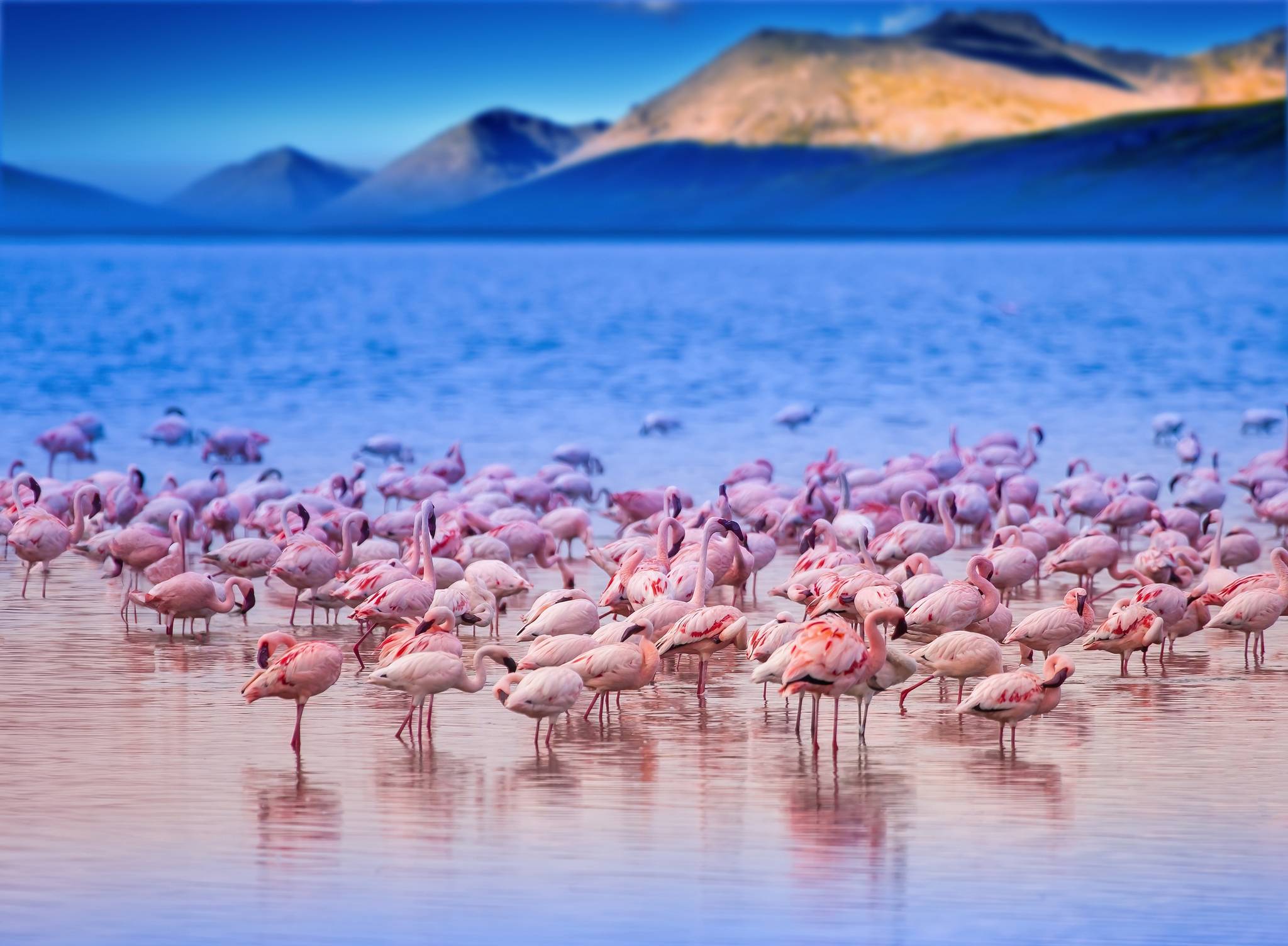 lago nakuru