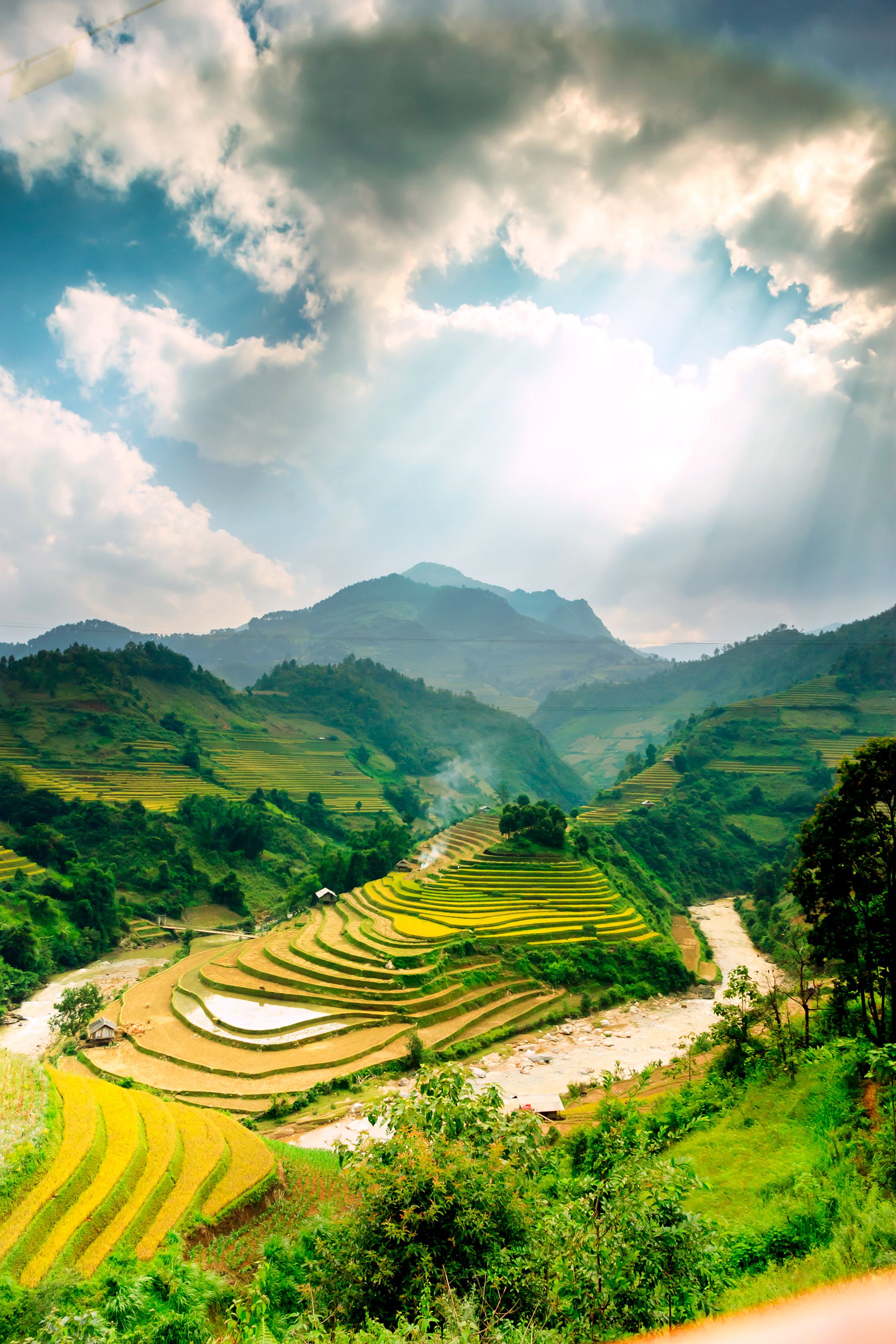 rice fields of Sapa Valley