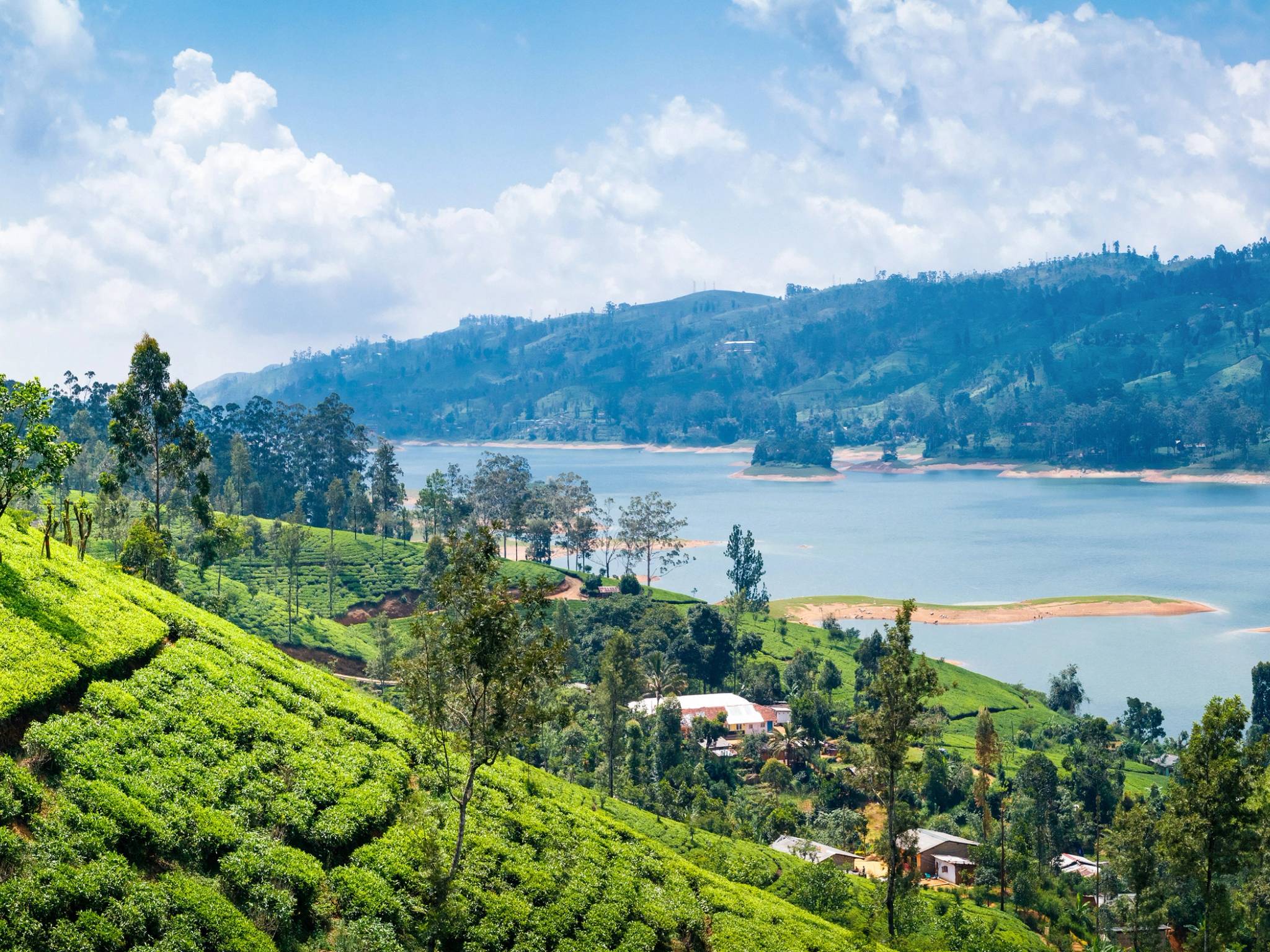 Tour in Sri Lanka d'estate cover