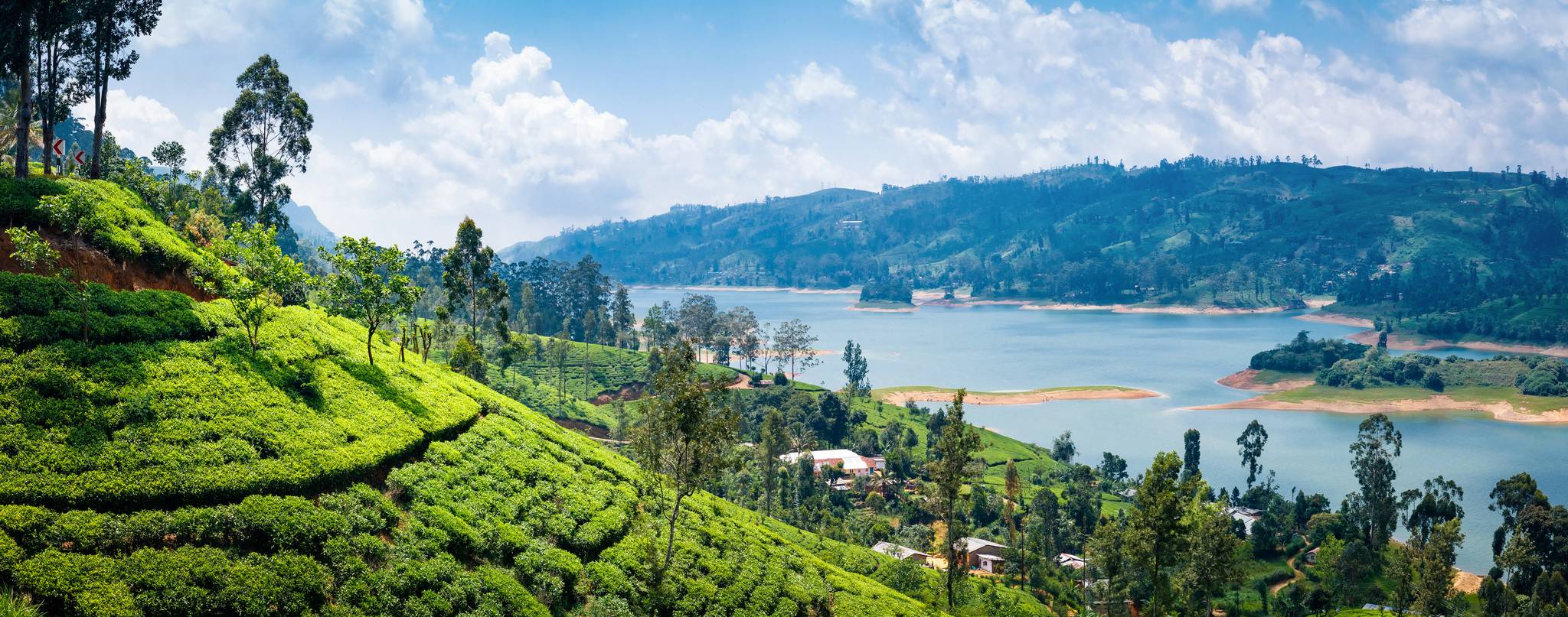 nuwara eliya