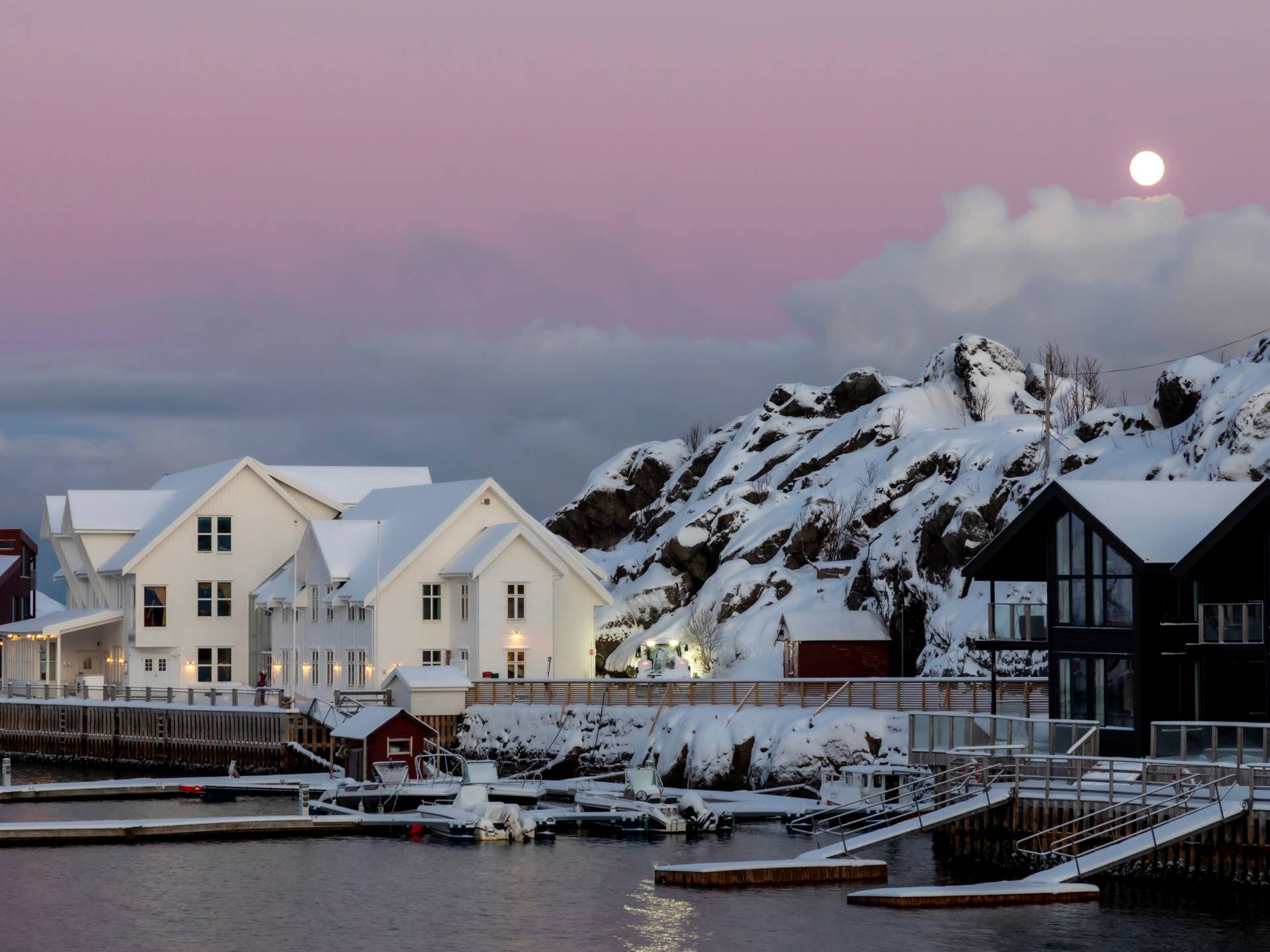 Norvegia Selvaggia: Tromsø e Hamn i Senja cover