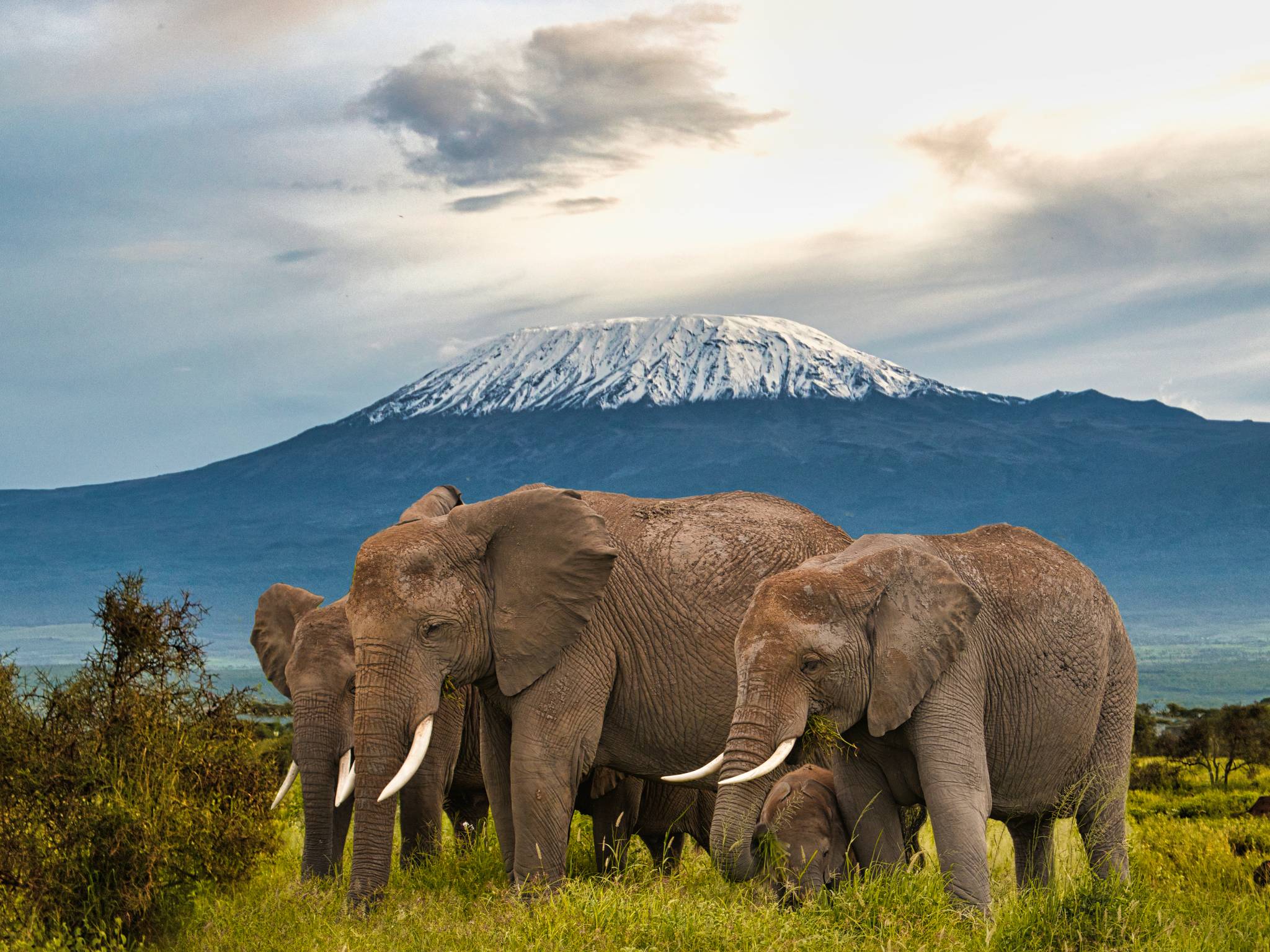 Viaggio tra i panorami del Kenya cover