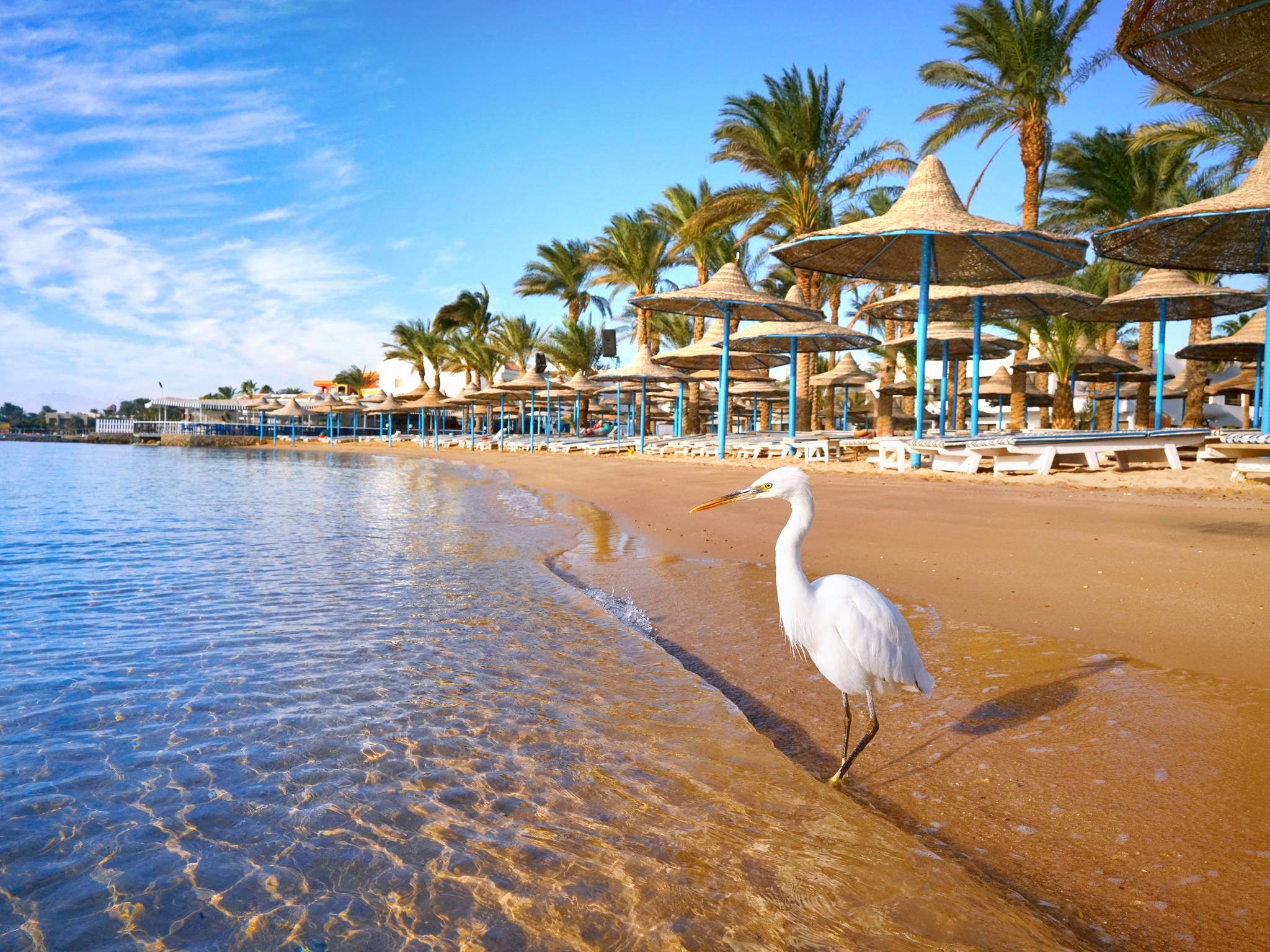 Meraviglie d’Egitto: Il Cairo, Nilo e mare ad Hurghada cover