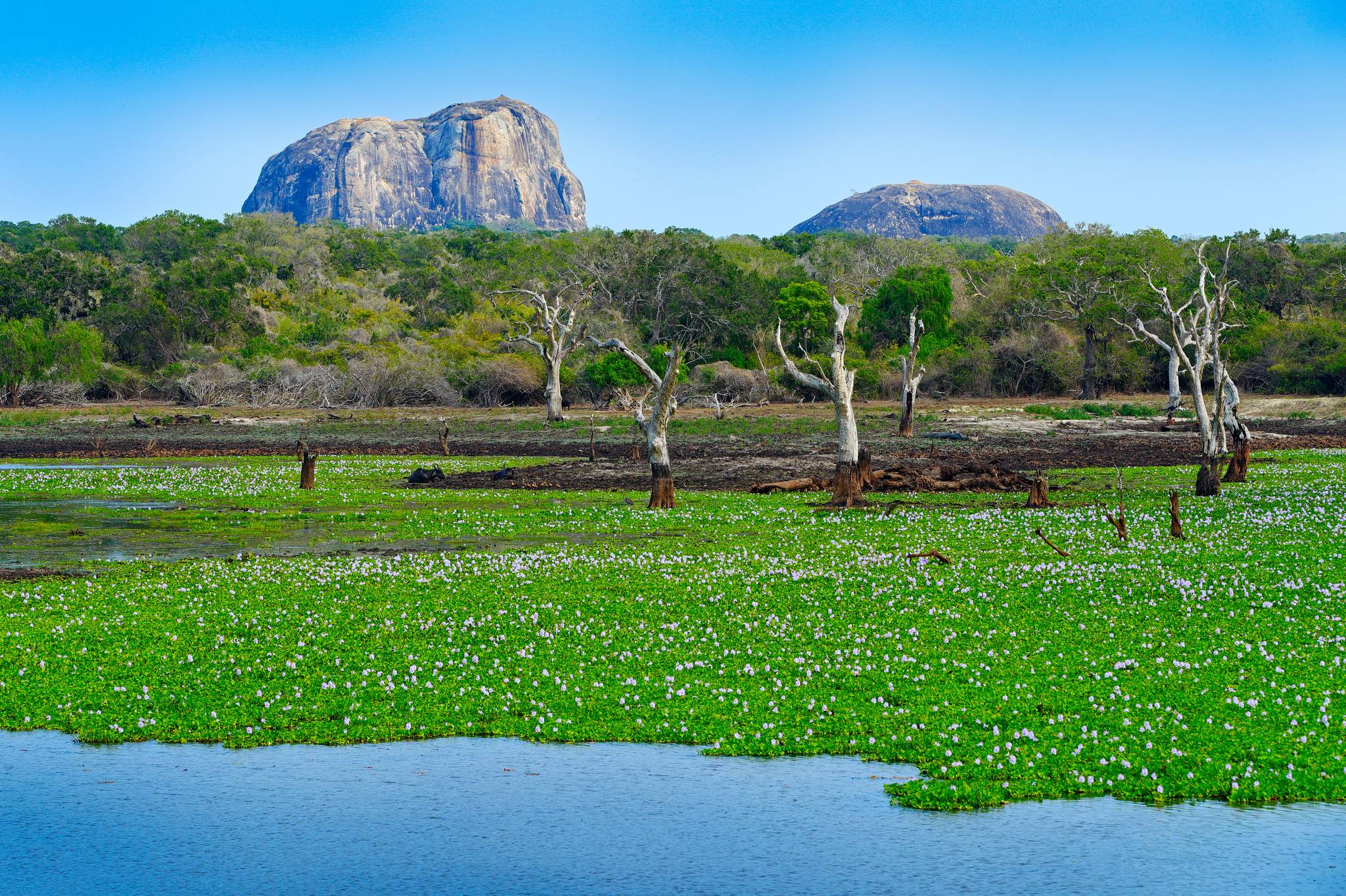 parco di yala