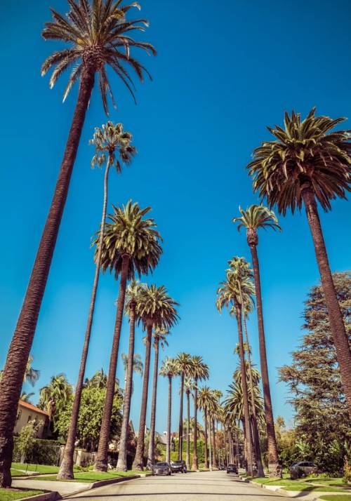 los angeles