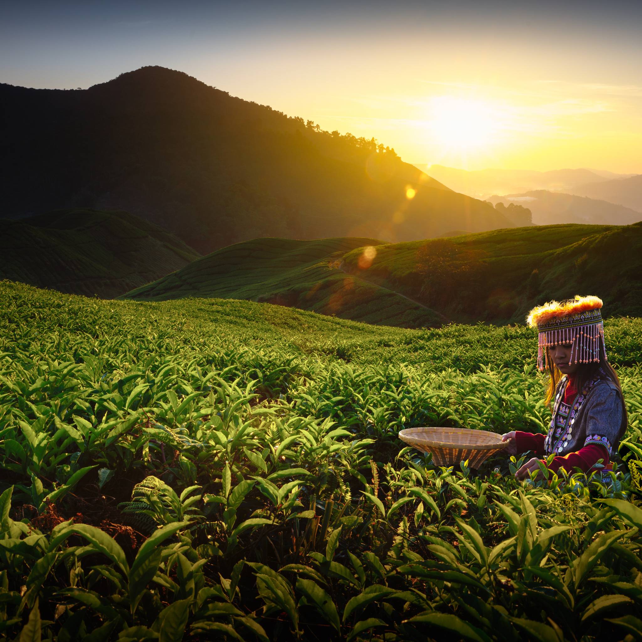 Una settimana in Malesia: da Kuala Lumpur a Penang