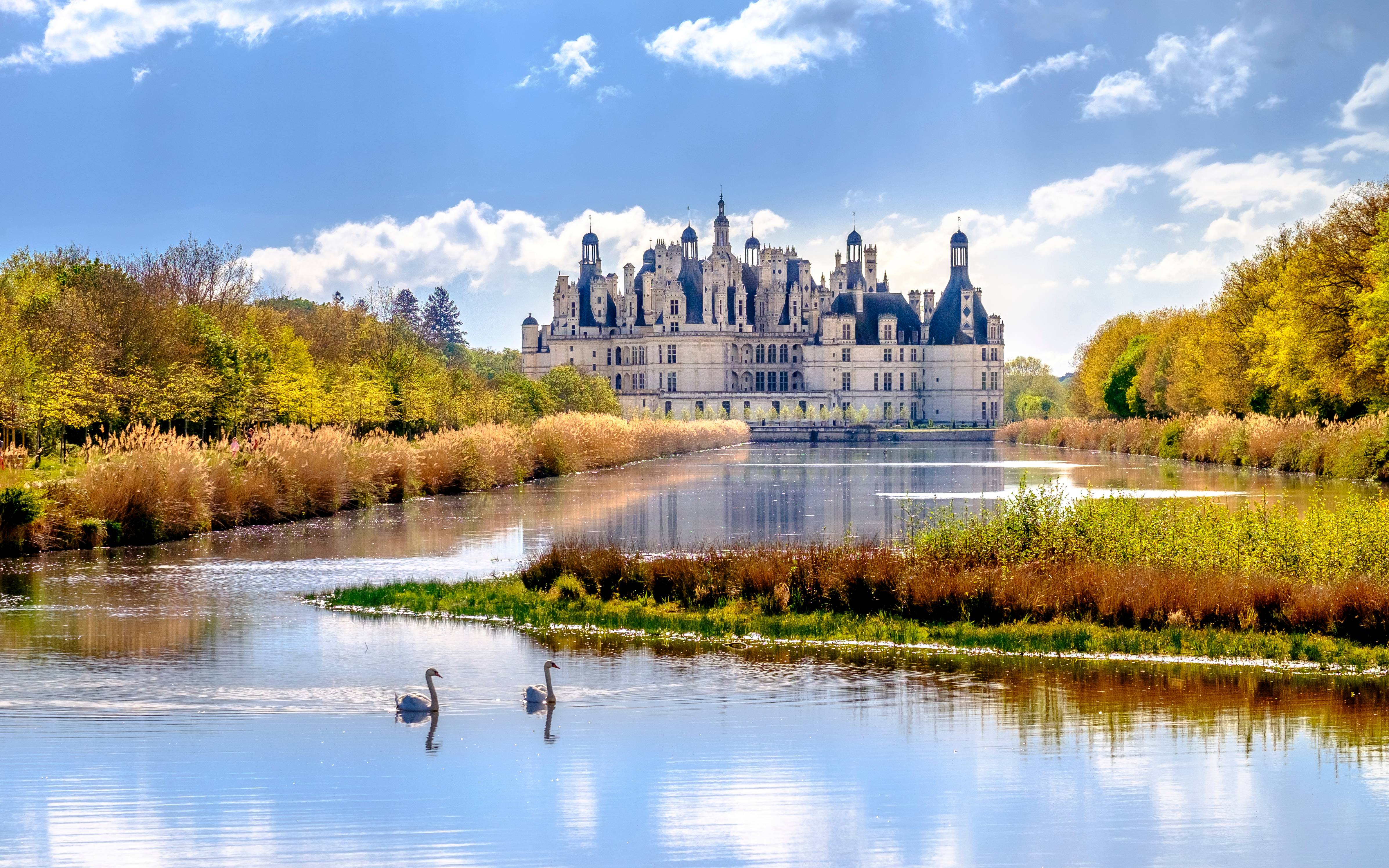 castello con lago dei cigni valle della loira francia