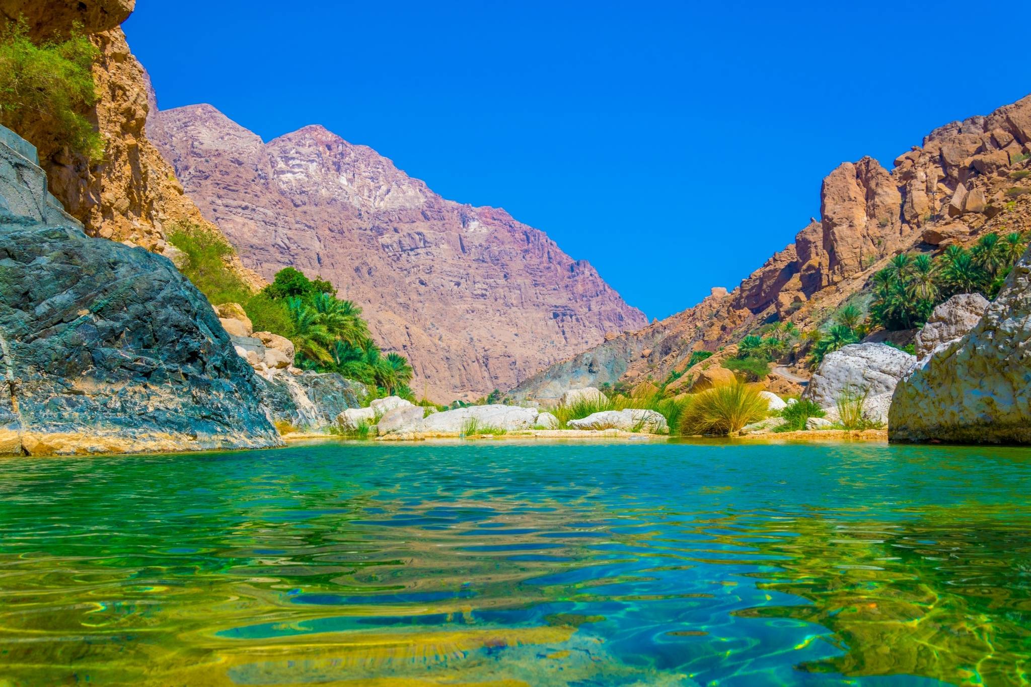 wadi tiwi
