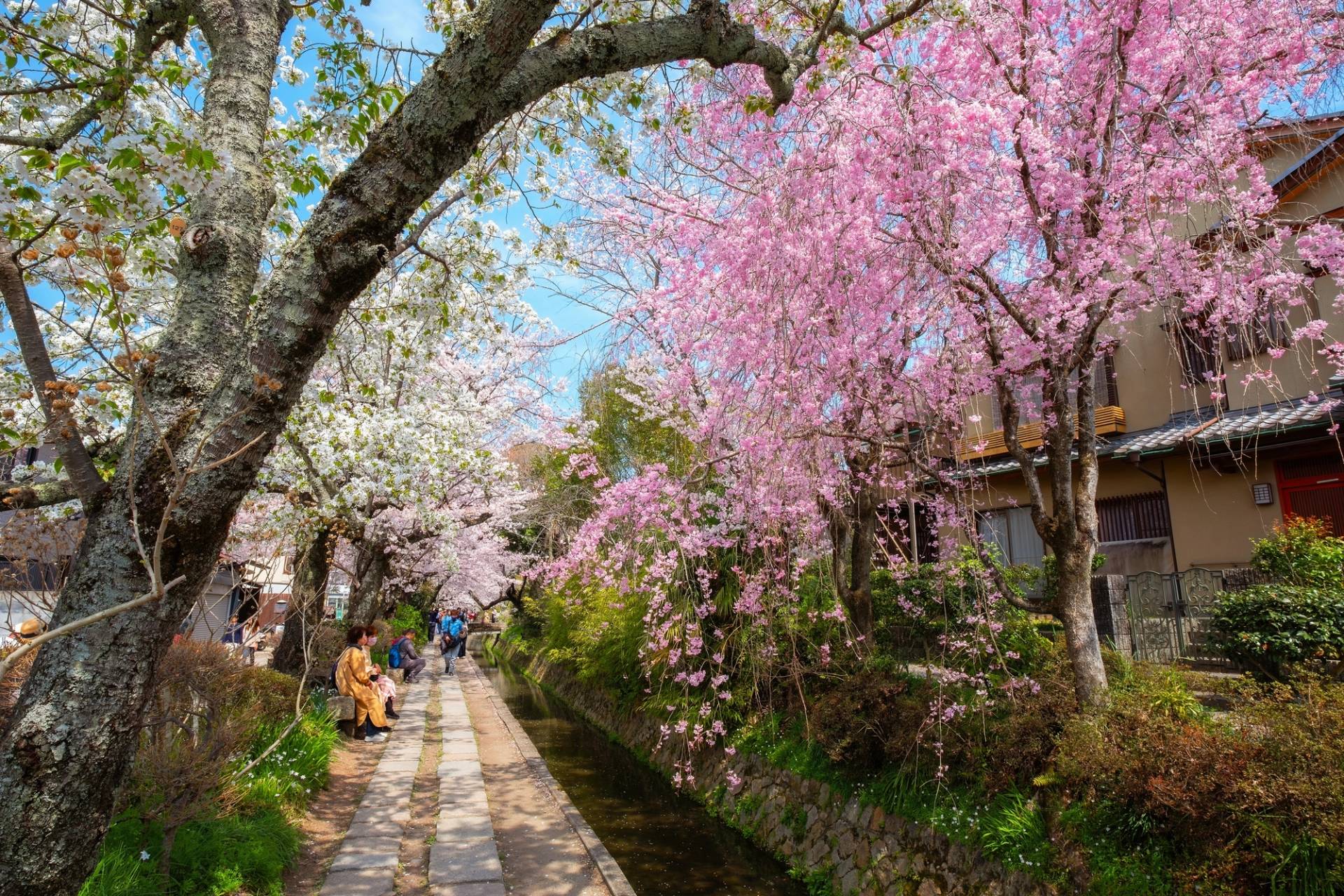 kyoto