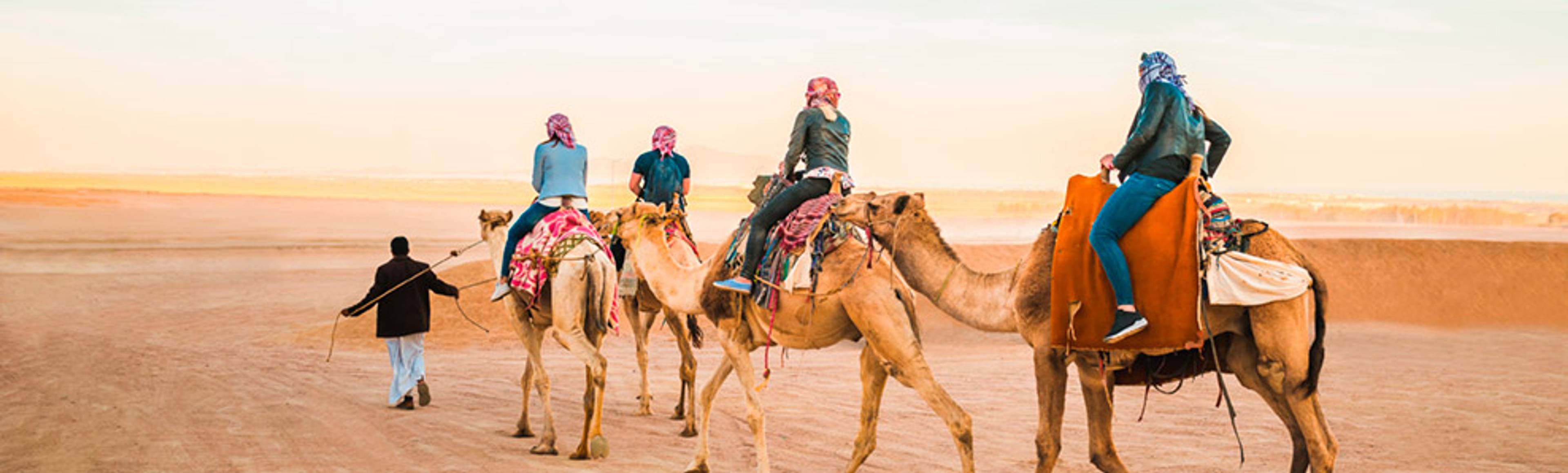 escursione con i cammelli del deserto