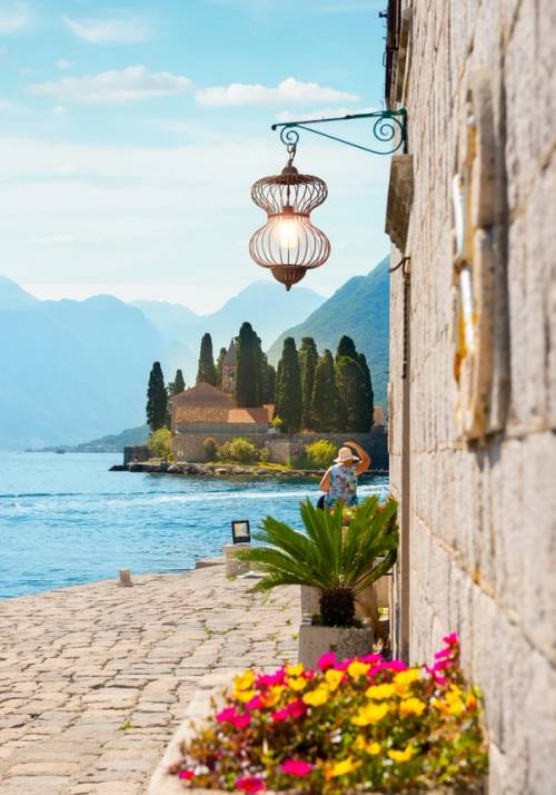 kotor