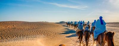 escursione cammelli nel deserto in tunisia