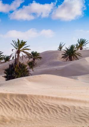 dune del deserto di douz