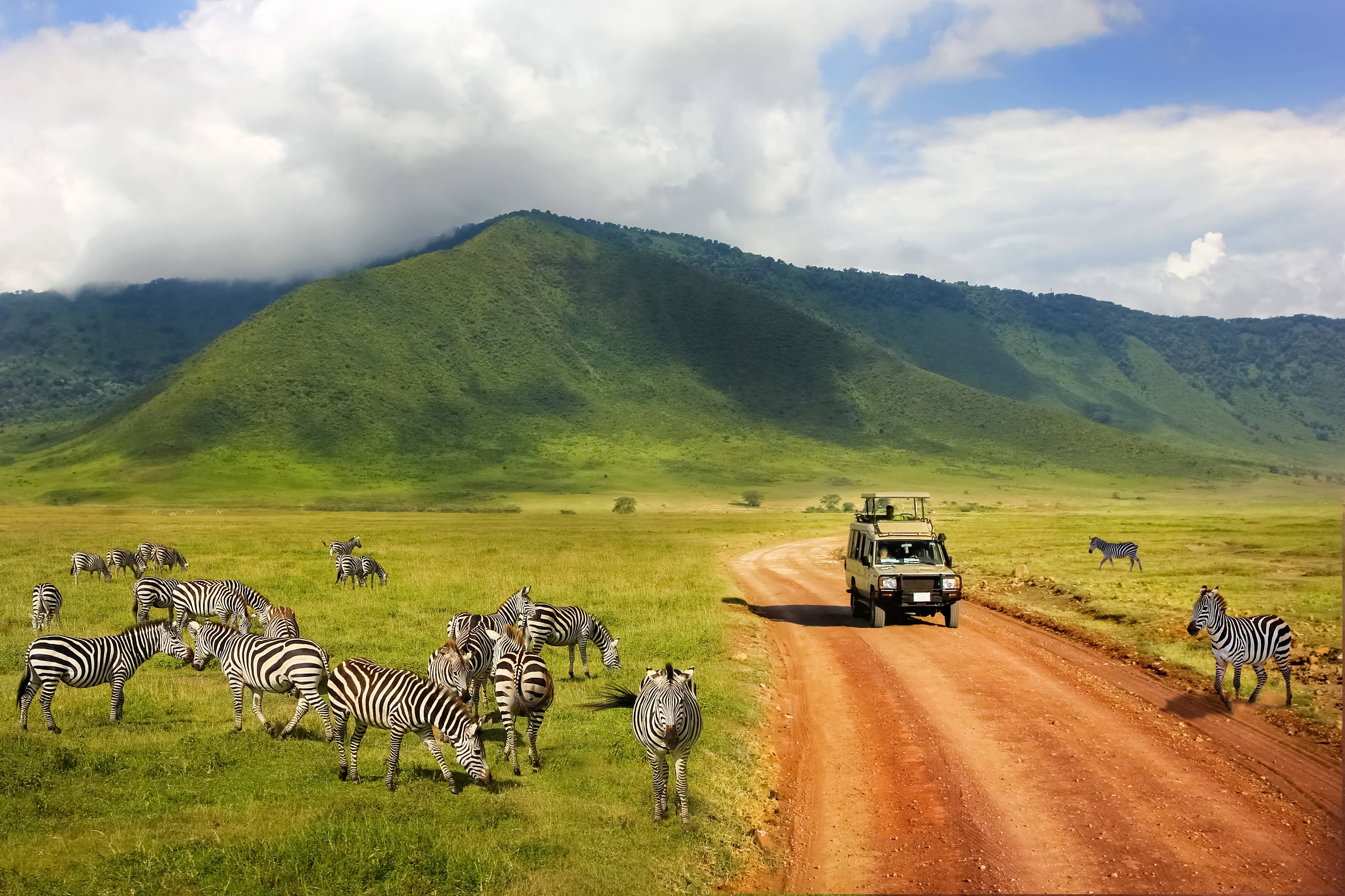 cratere di ngorongoro