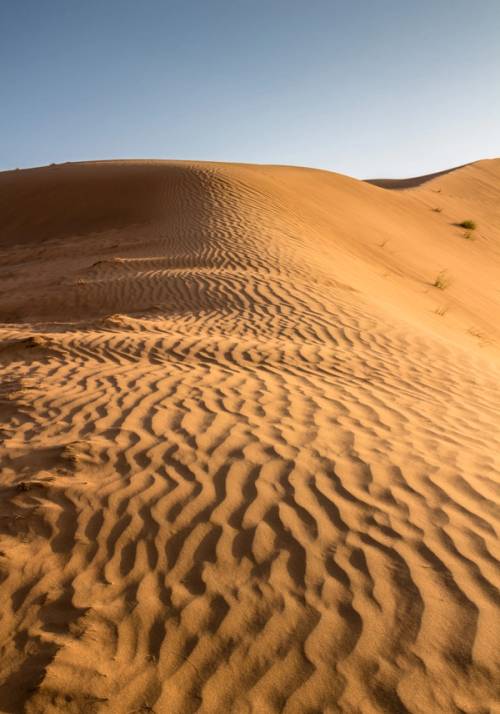 wahiba sands