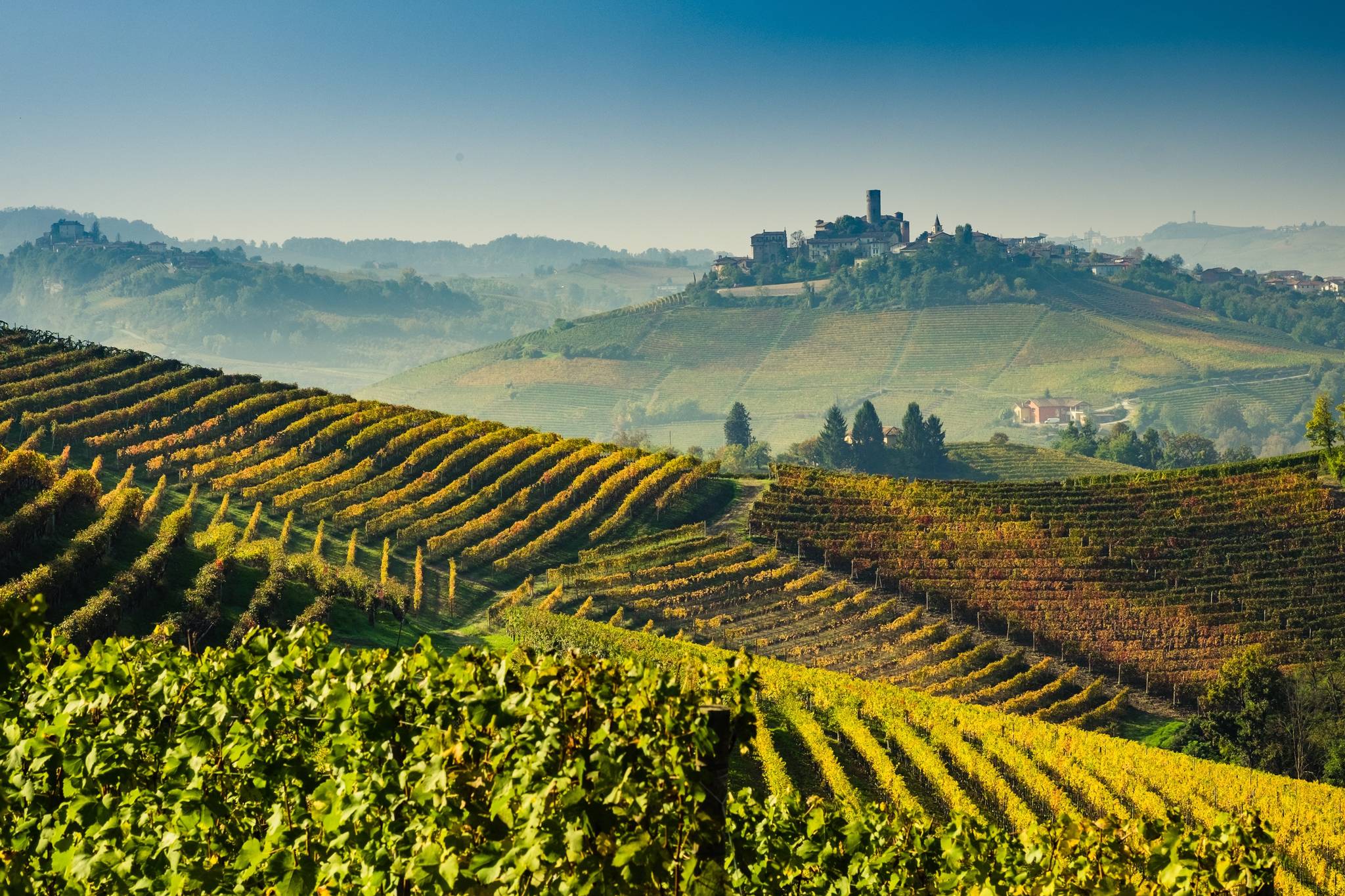 tour enogastronomici nelle langhe