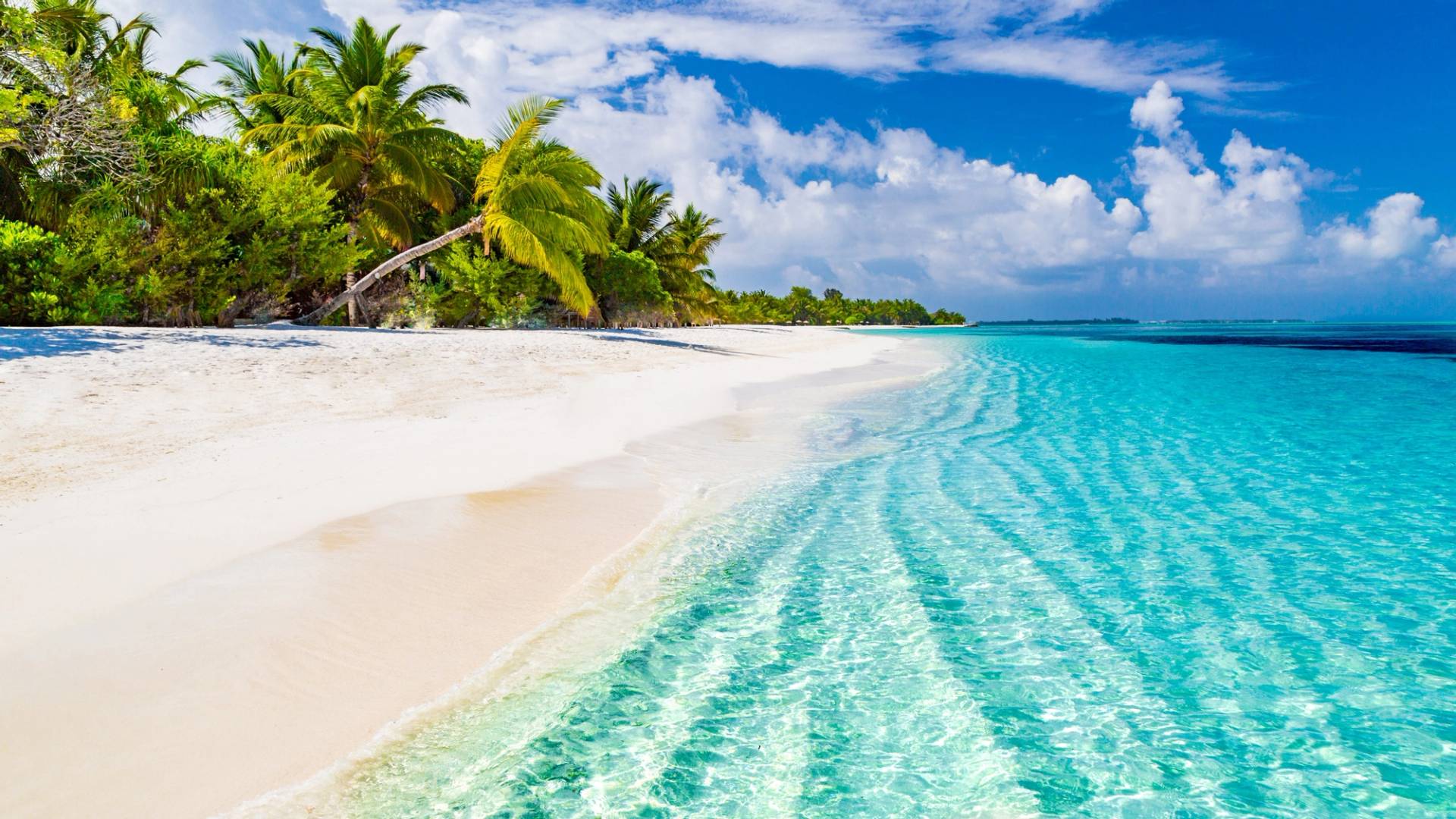 organized trips for this summer