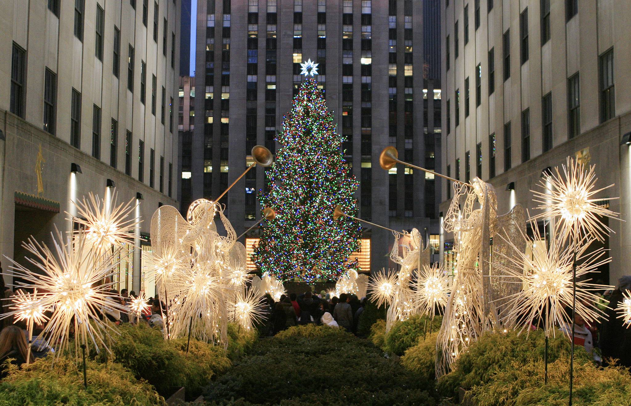 albero di natale rockfeller center new york city