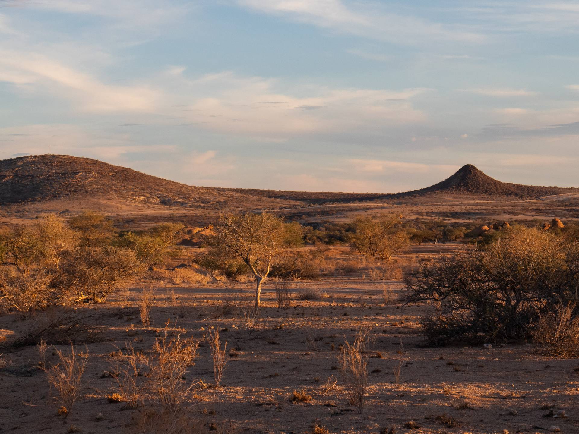 Avventure in Namibia: Sossusvlei, Spitzkoppe ed Etosha National Park cover