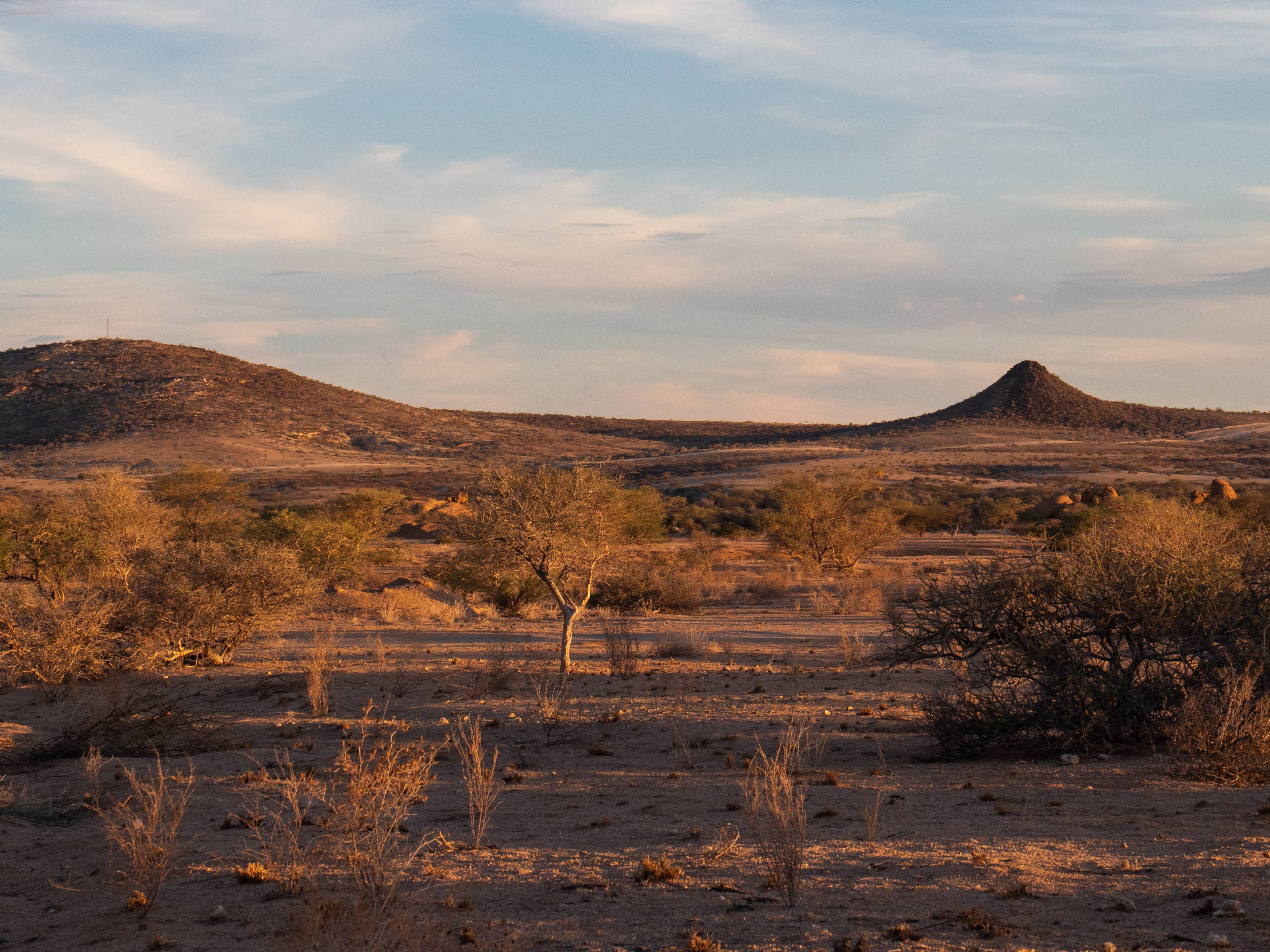 Avventure in Namibia cover