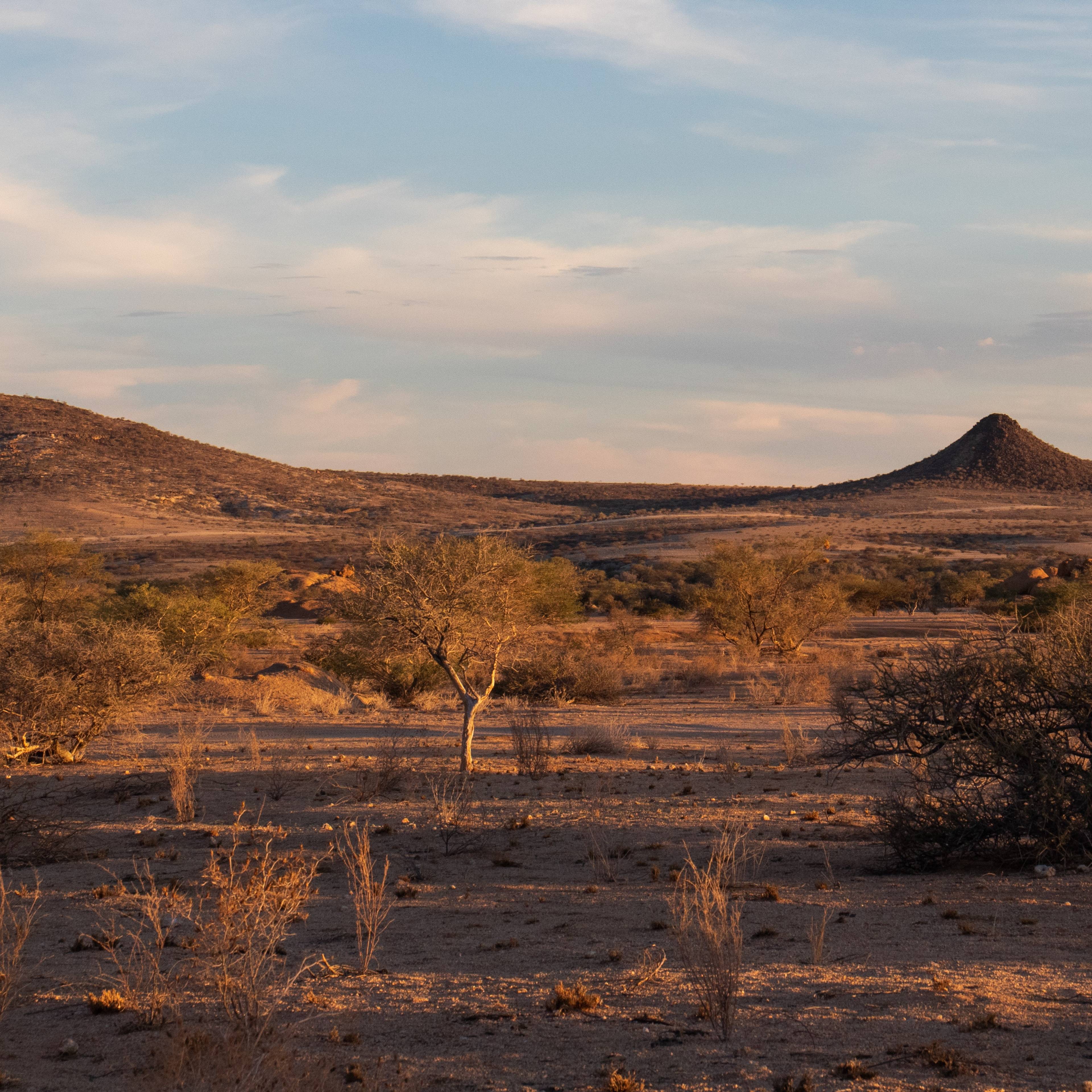 Avventure in Namibia