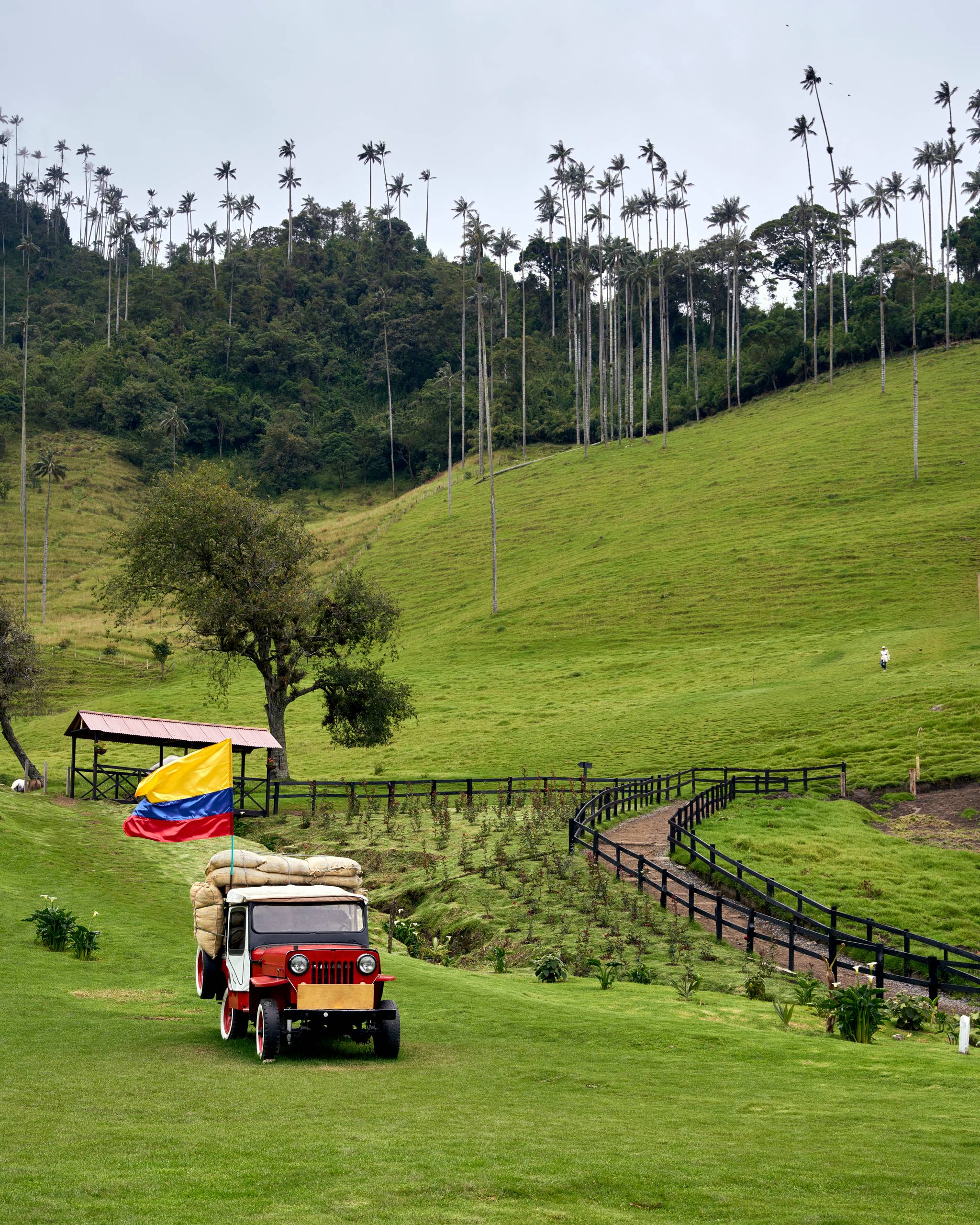 valle del cocora