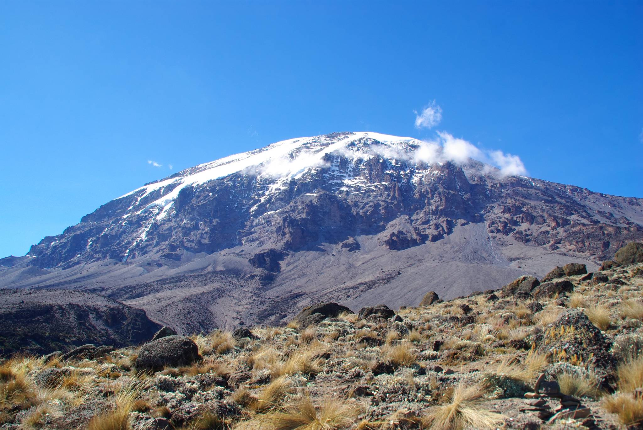 kilimanjaro