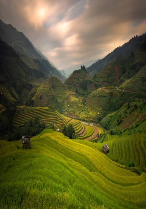 risaie banaue